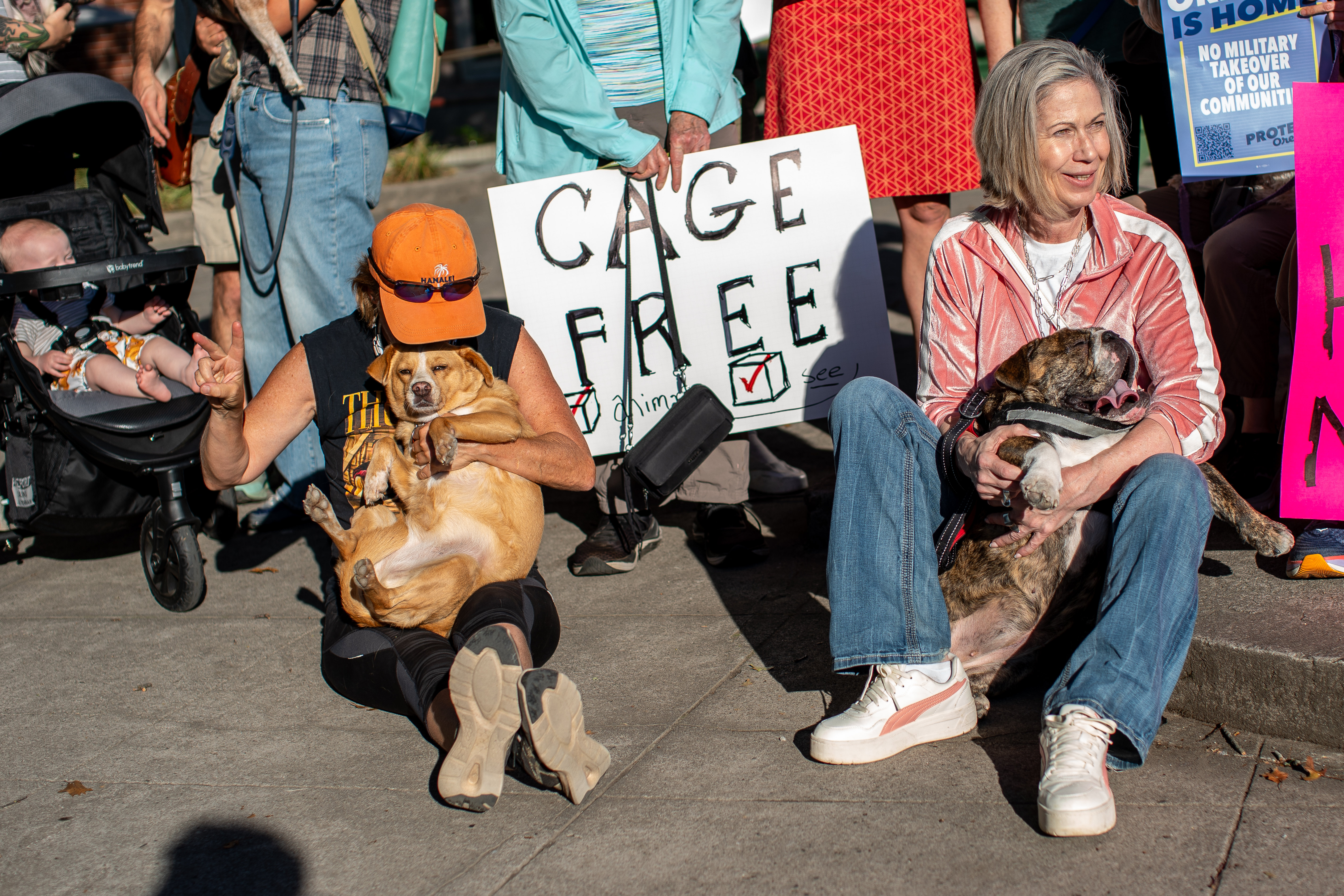Paws off Portland puppy protest - oregonlive.com