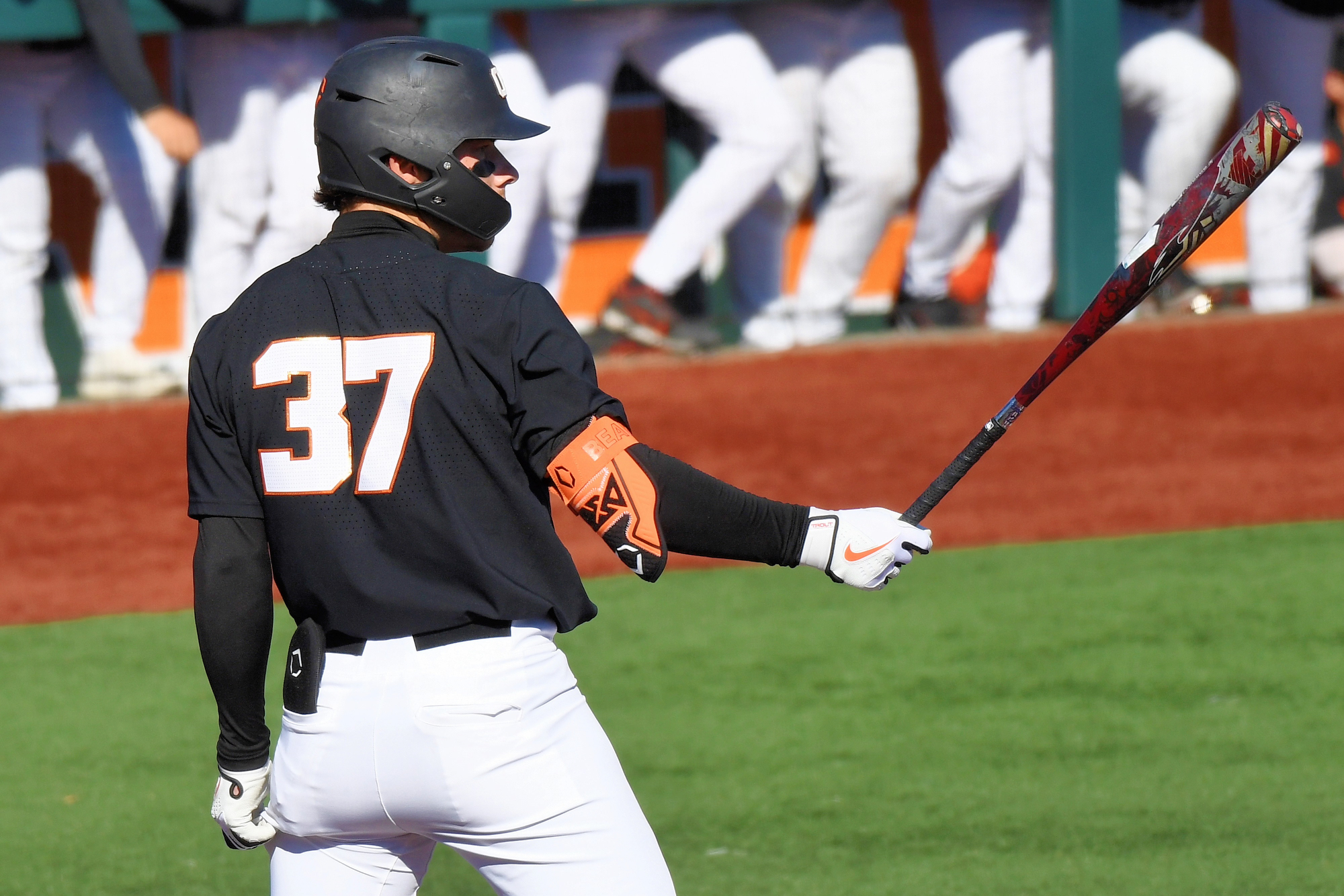 Oregon State Baseball on X: This week's Beaver Sports Podcast is