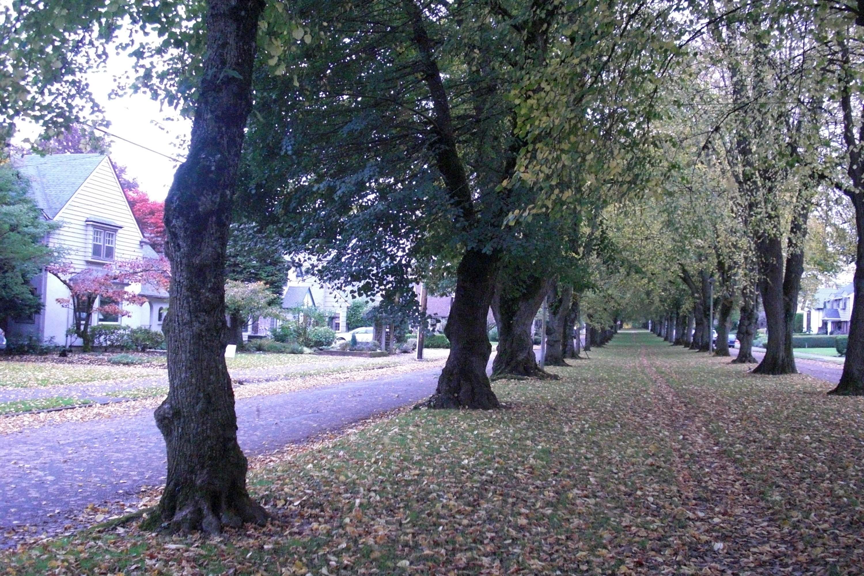 Eastmoreland Historic District