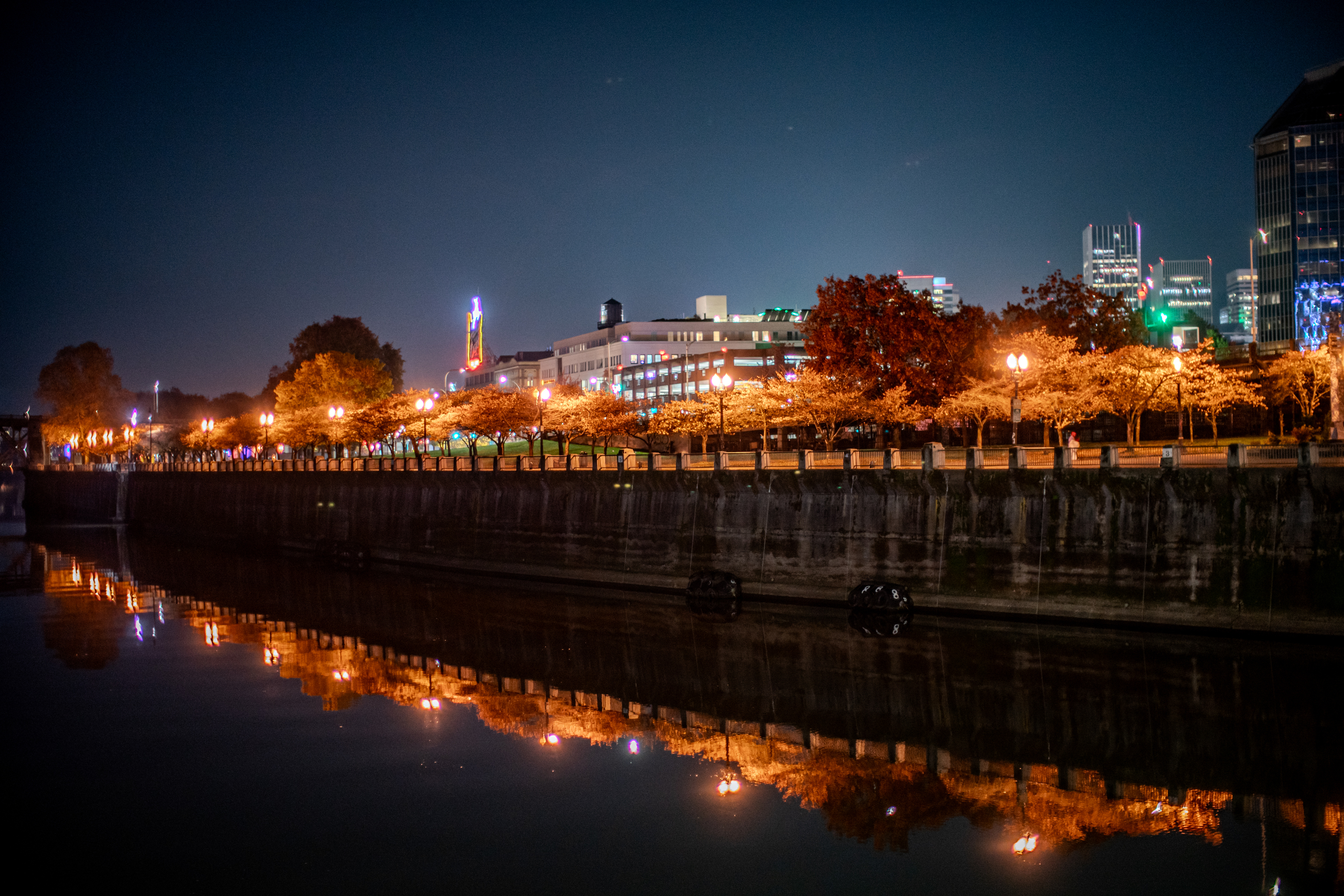 A fall Portland night November 7, 2024 - oregonlive.com