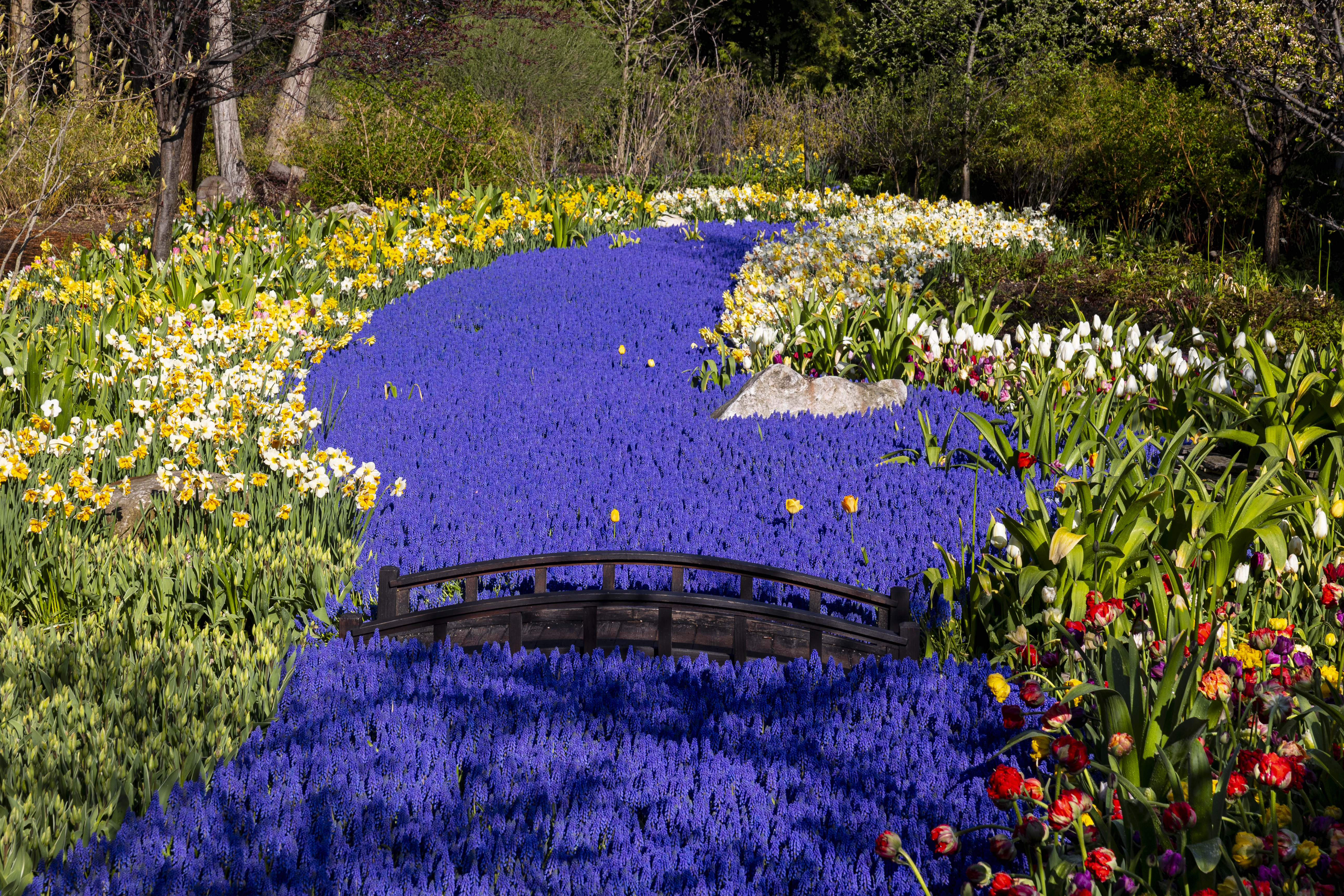 Grand Hotel's Secret Garden 2024 - mlive.com