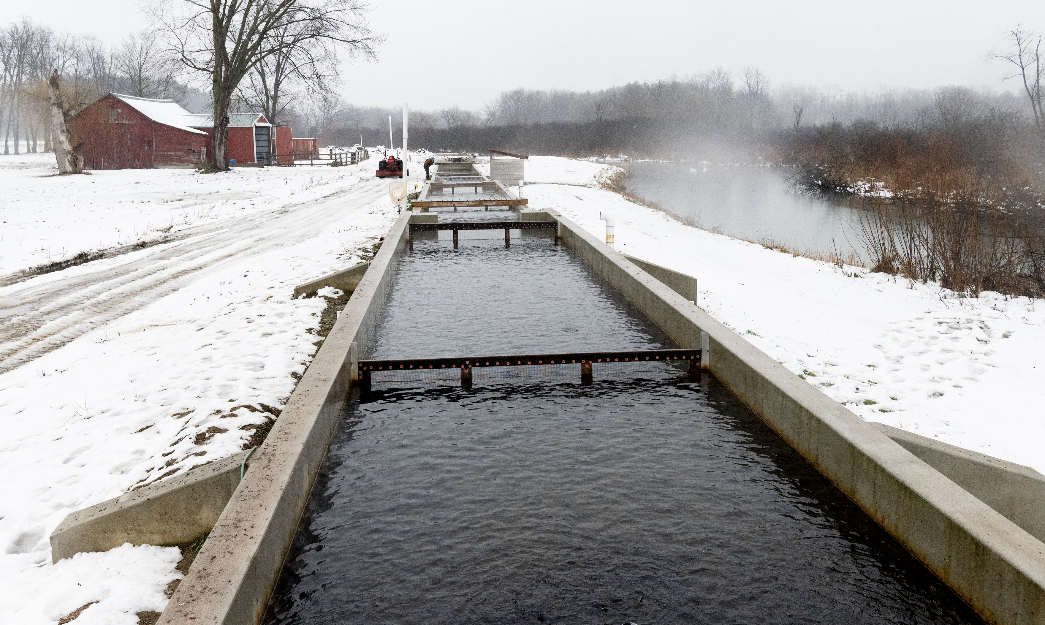 Eagle Creek Fish Company - mlive.com