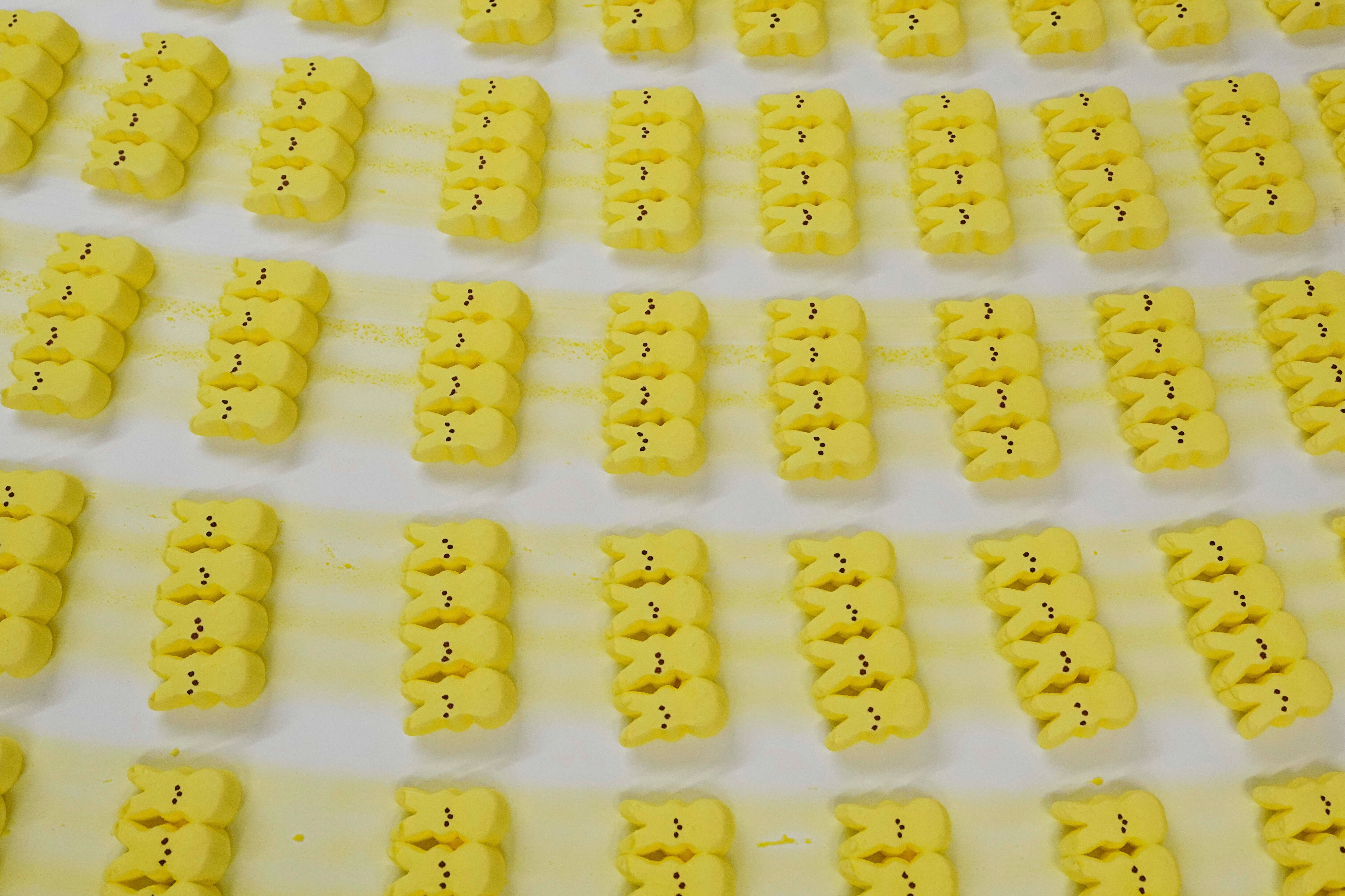 ハワイ　 Peeps ワッフルメーカー アメリカ雑貨　アメトイ　イエロー Peeps Cheetah Bunny Plush Gift Set *Online Only* – Frankford Candy