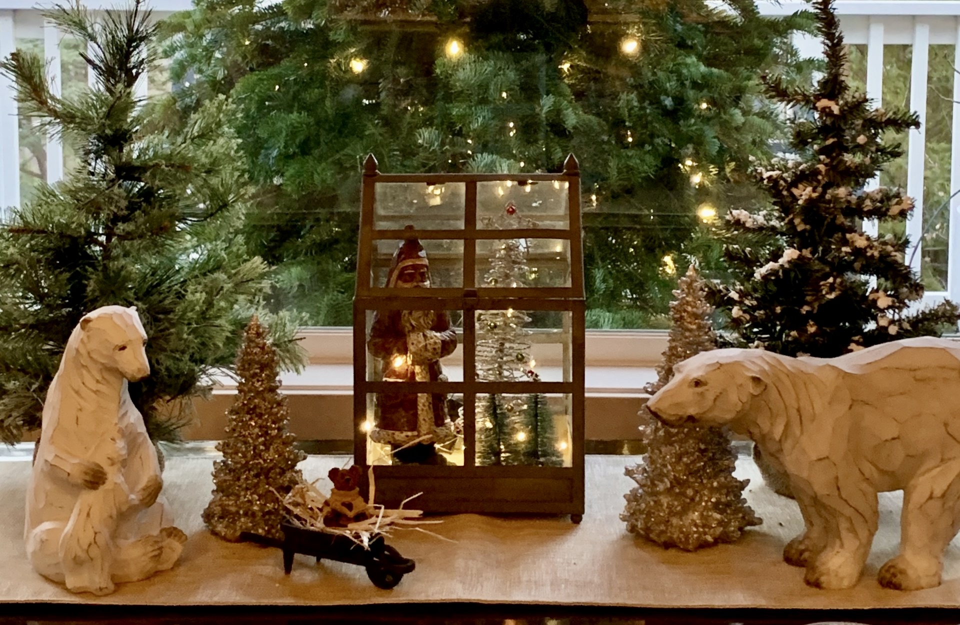 Real Oregon Christmas trees