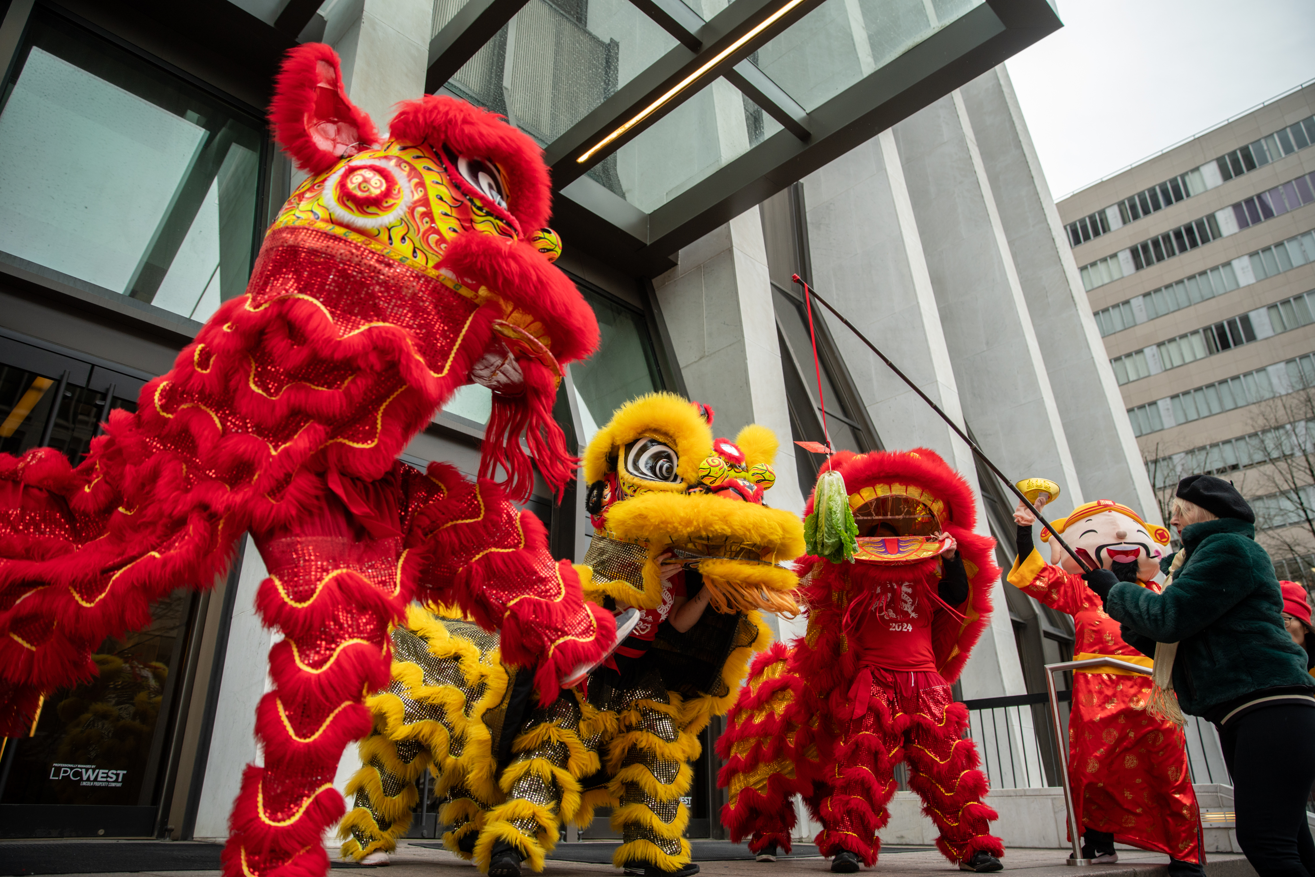 2024 eighth annual Lunar New Year Dragon Dance and Celebration