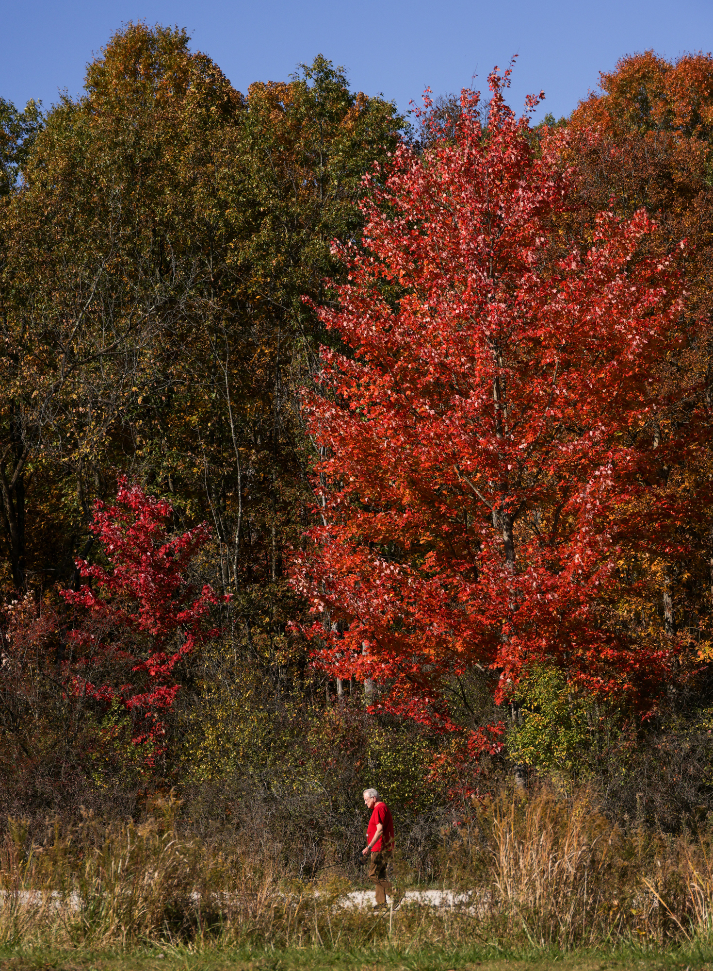 Fall colors in the Cuyahoga Valley National Park 2024 - cleveland.com