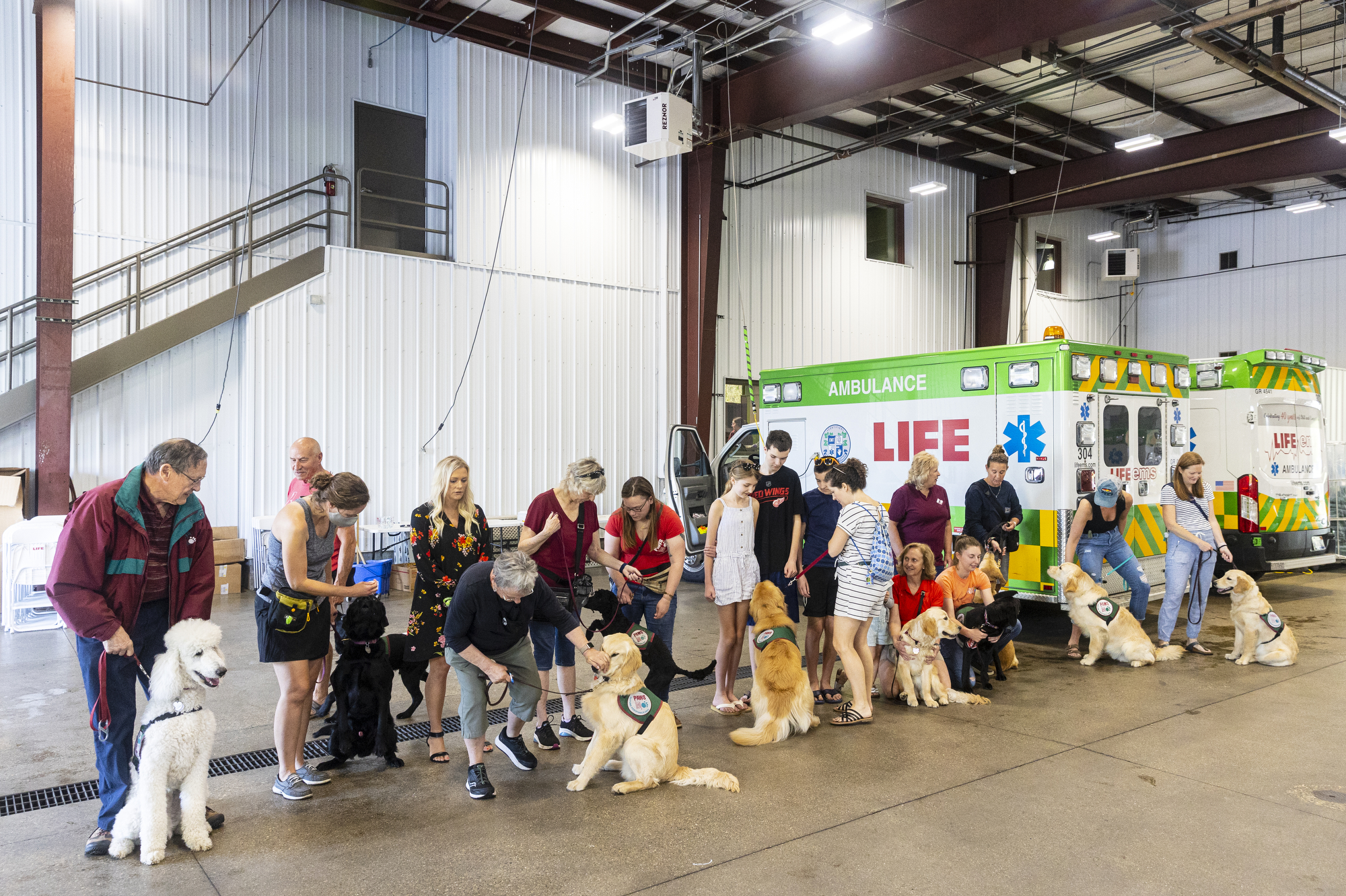 PAWS puppies get acclimated with ambulances - mlive.com