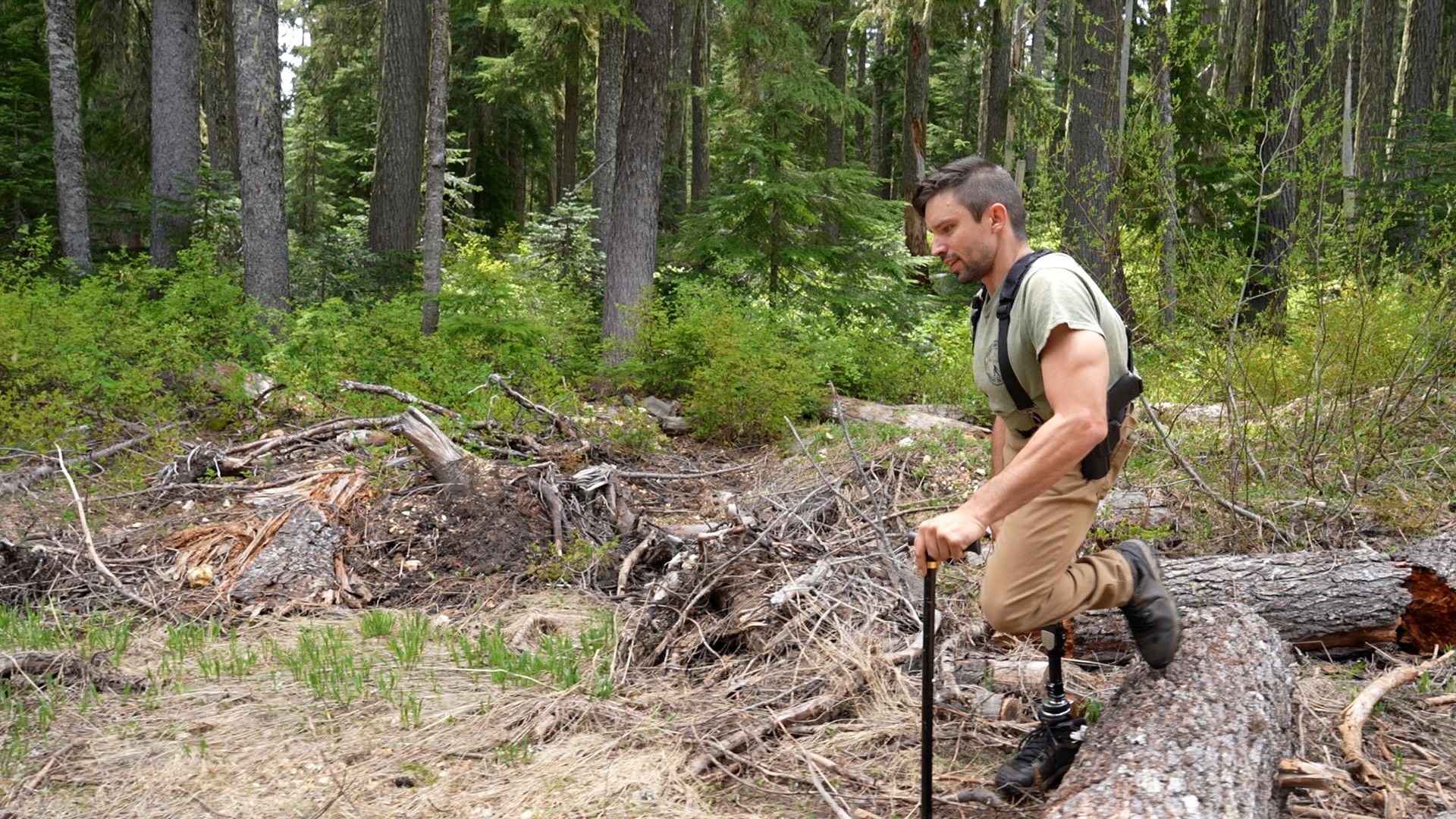 Pacific Northwest Bigfoot Search - oregonlive.com