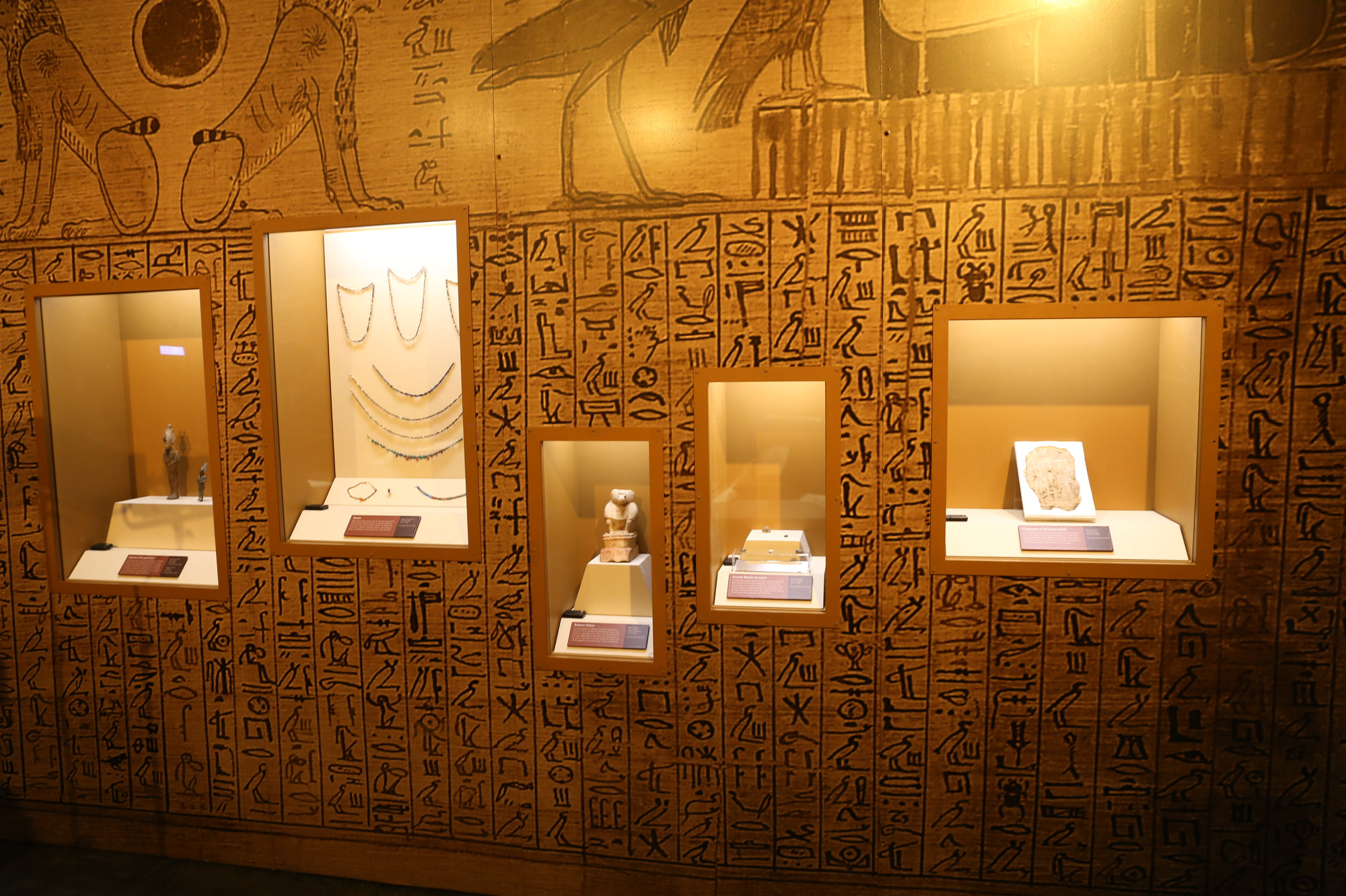 Mummies of the World on display at the Corner Gallery - cleveland.com