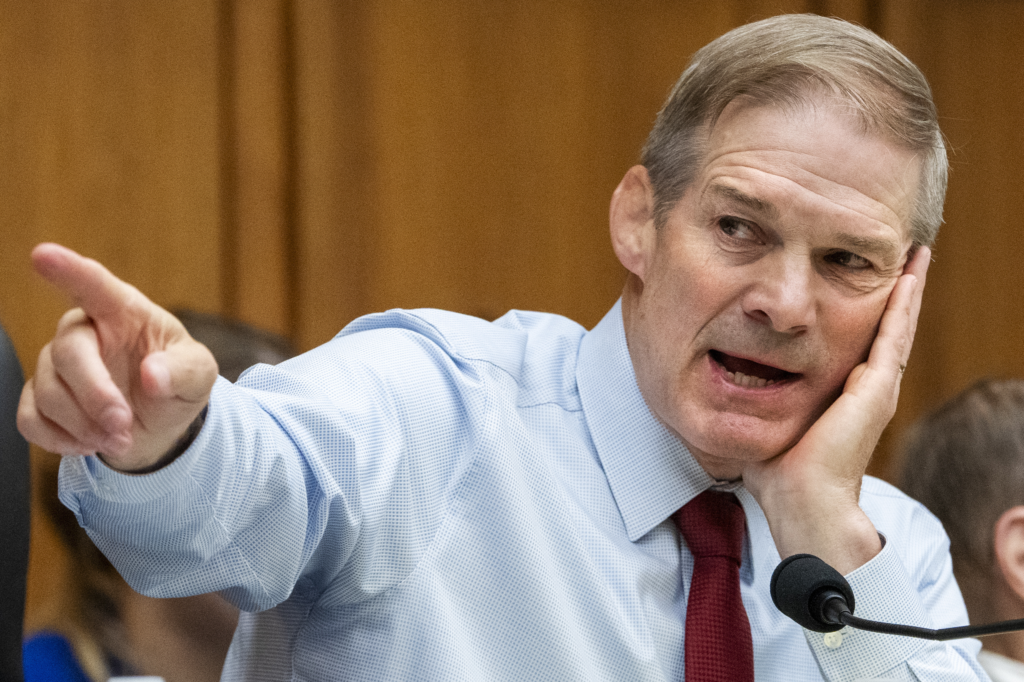 Ohio's Jim Jordan makes “authoritarian” bid to neuter federal courts, to  help Donald Trump - cleveland.com