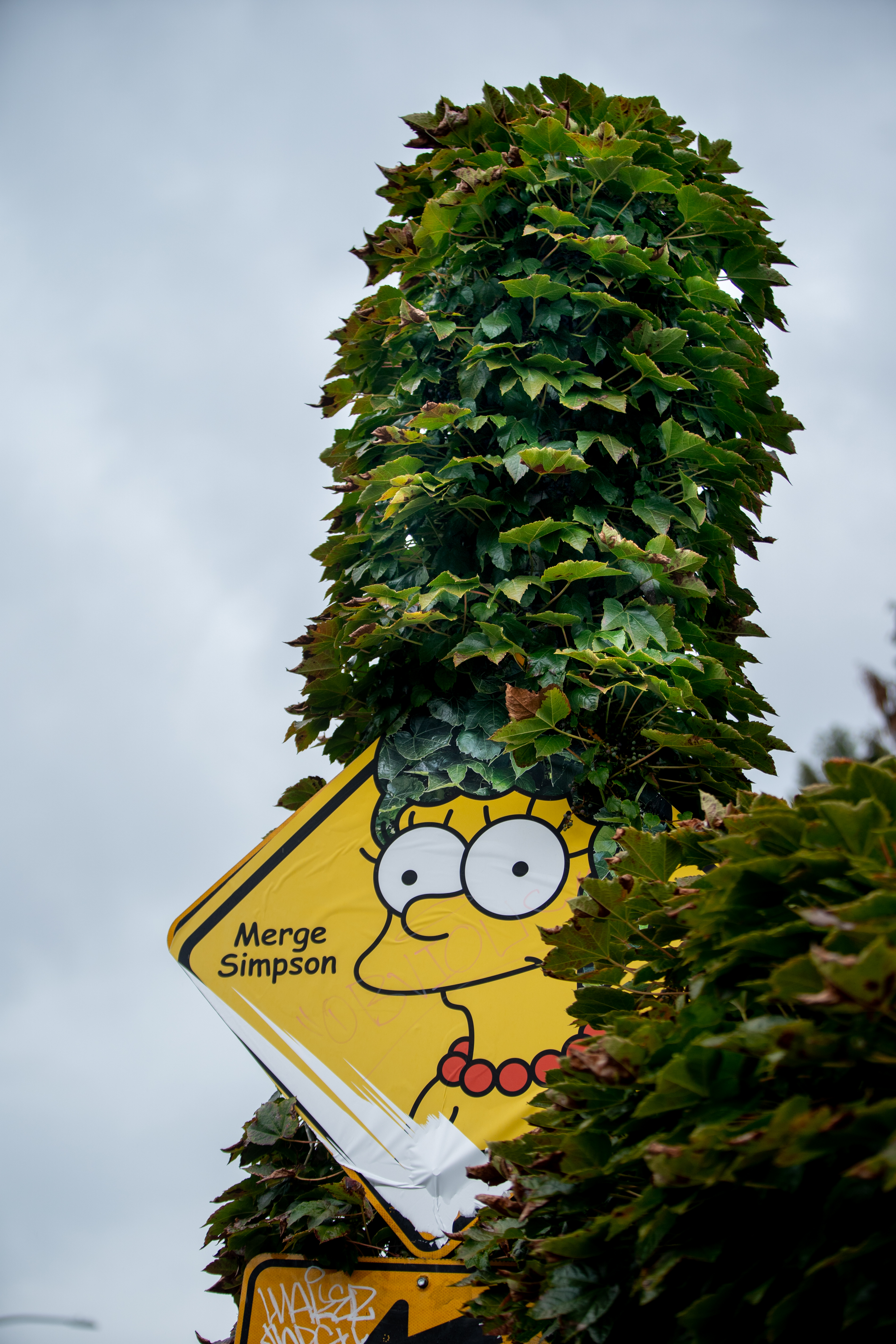 Portland Removes Merge Simpson Sign From Nw Portland Freeway Ramp Oregonlive Com Portland Removes Merge Simpson Sign From Nw Portland Freeway Ramp Oregonlive Com