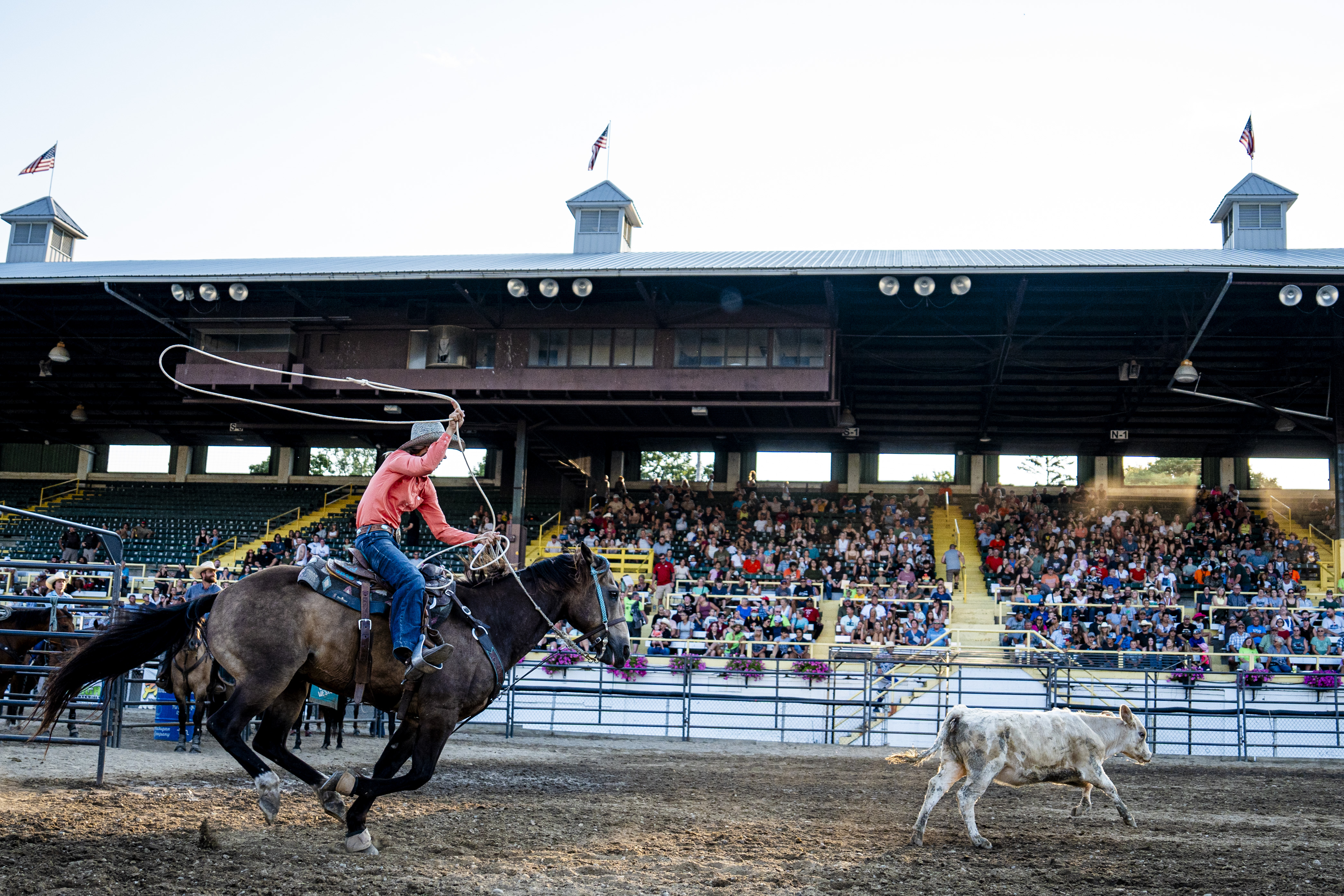Twisted P Rodeo Jackson - mlive.com