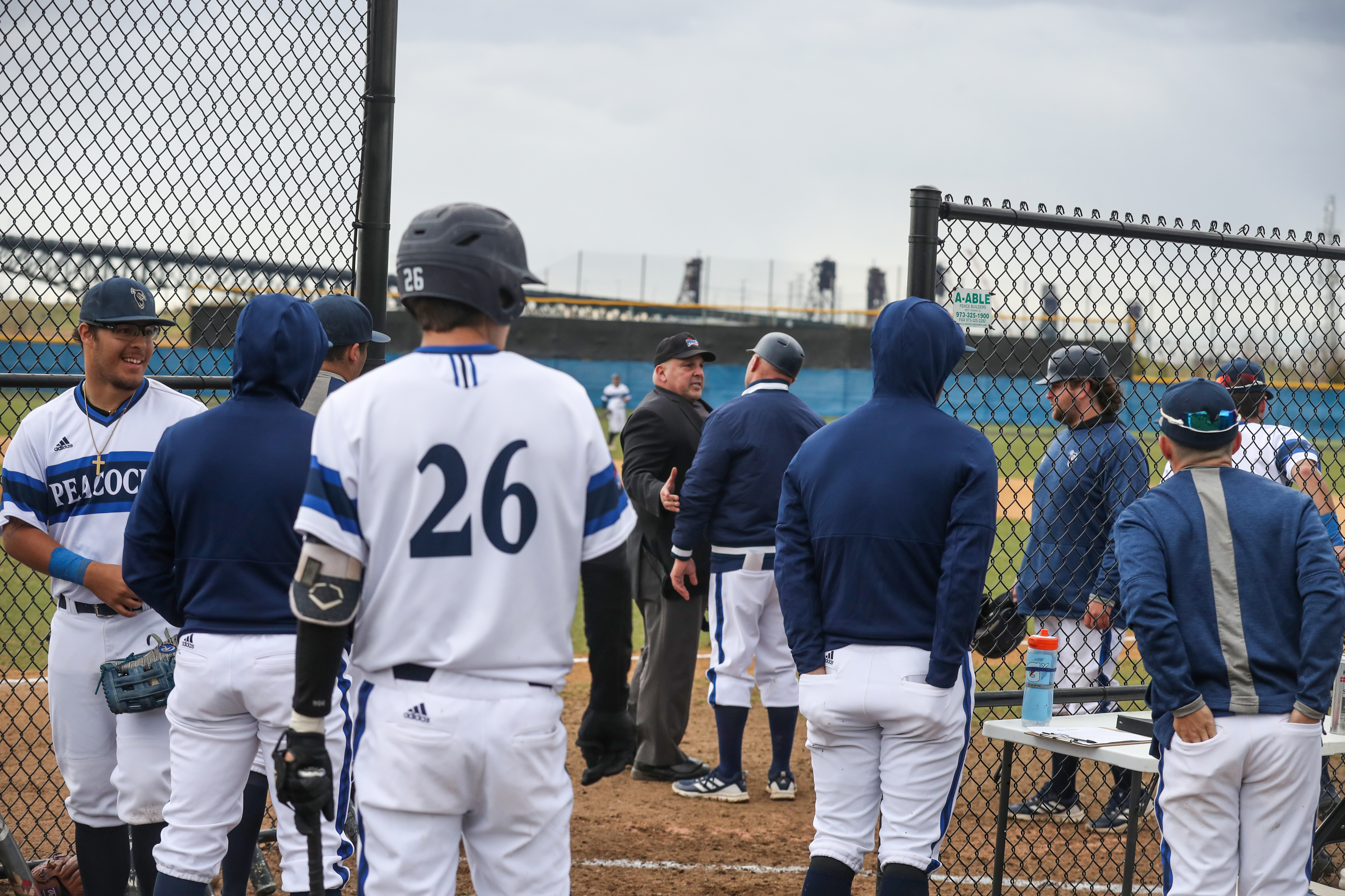 HS baseball: St. Peter's hoping to find mojo again in Catholic state  playoffs 