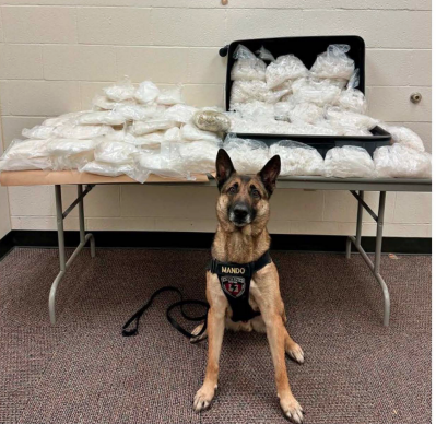More than 200 pounds of methamphetamine seized in traffic stop ...