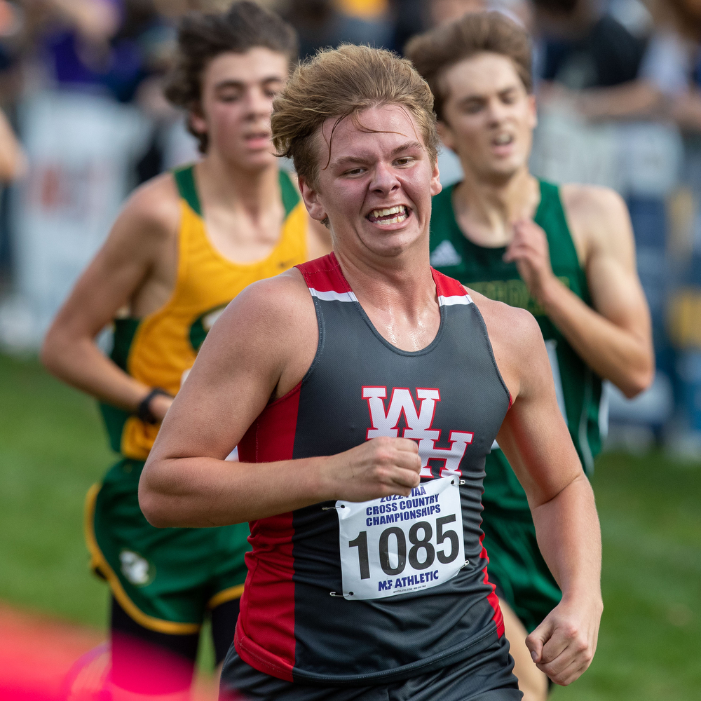 The 2022 PIAA Boys Cross Country Championships at Hershey - pennlive.com