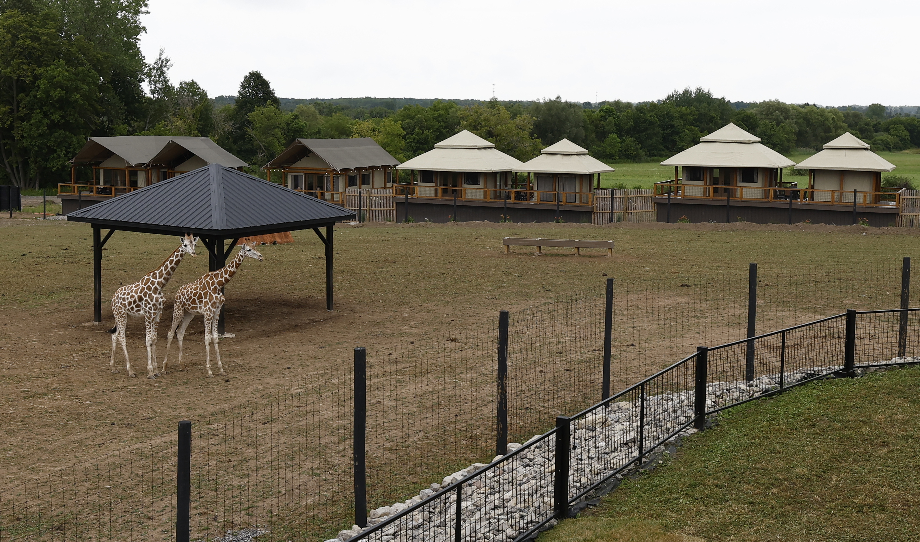 The Haven, sister property to The Wild Animal Park, also hosts
