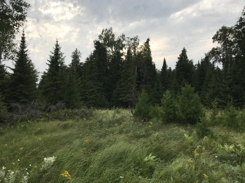 Butterfield Island, Michigan