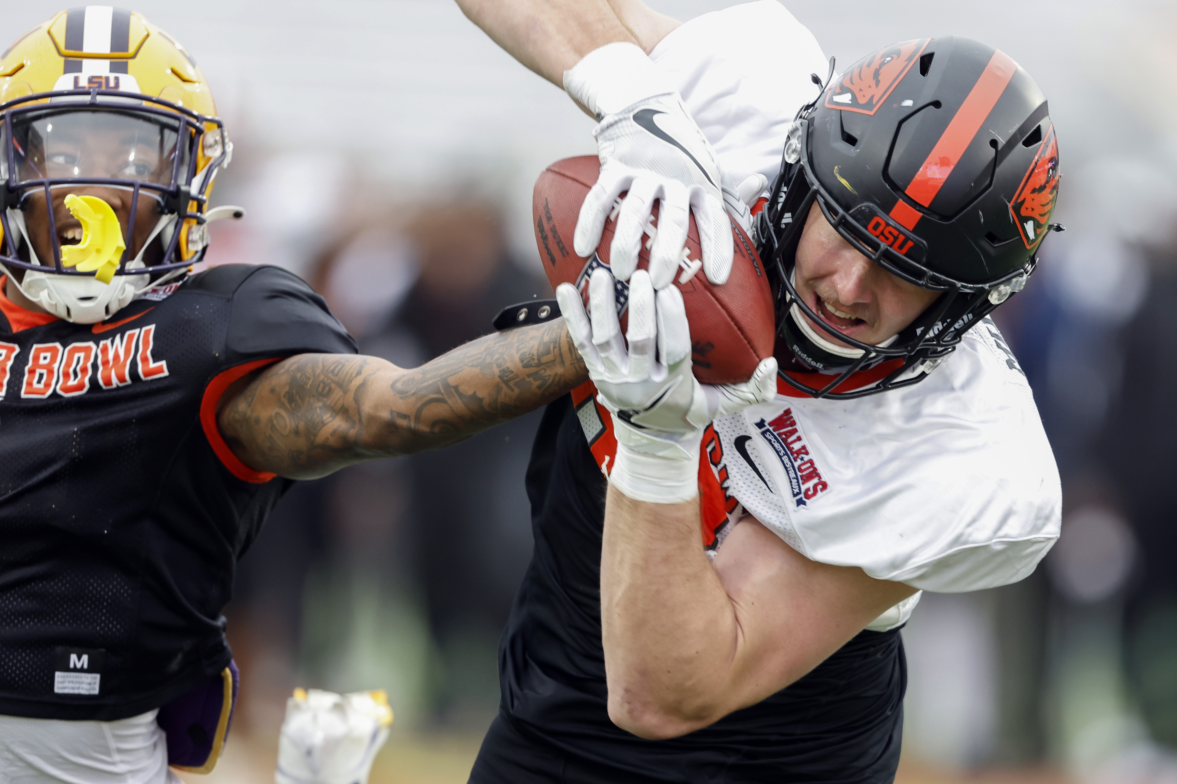 Packers select Oregon State TE Luke Musgrave at No. 42 overall in second  round of 2023 NFL draft