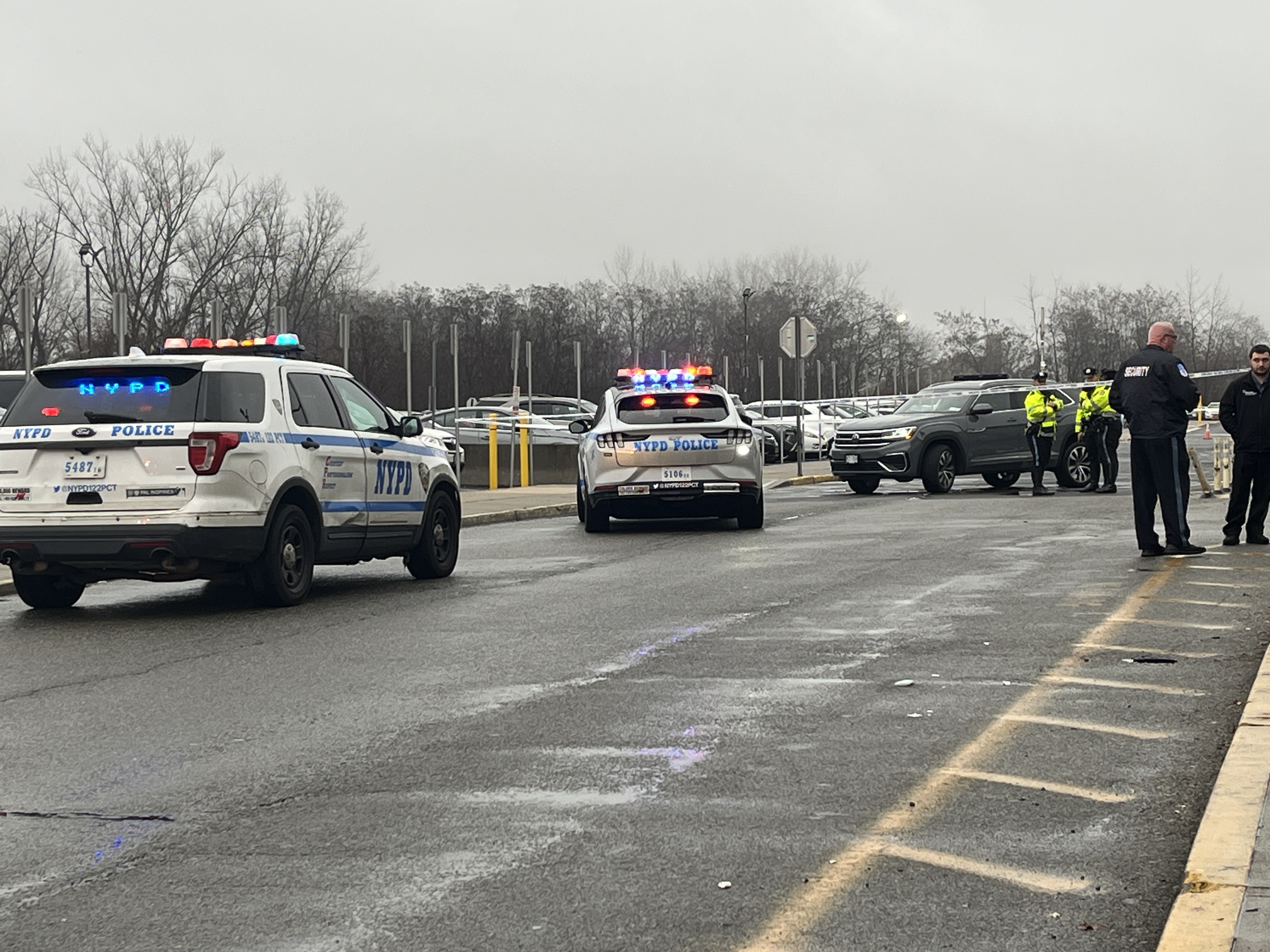 DEATH NYC BF4 サイン、ナンバー、COAあり DEATH NYC ltd signed art print 45x32cm charlie brown snoopy vaca