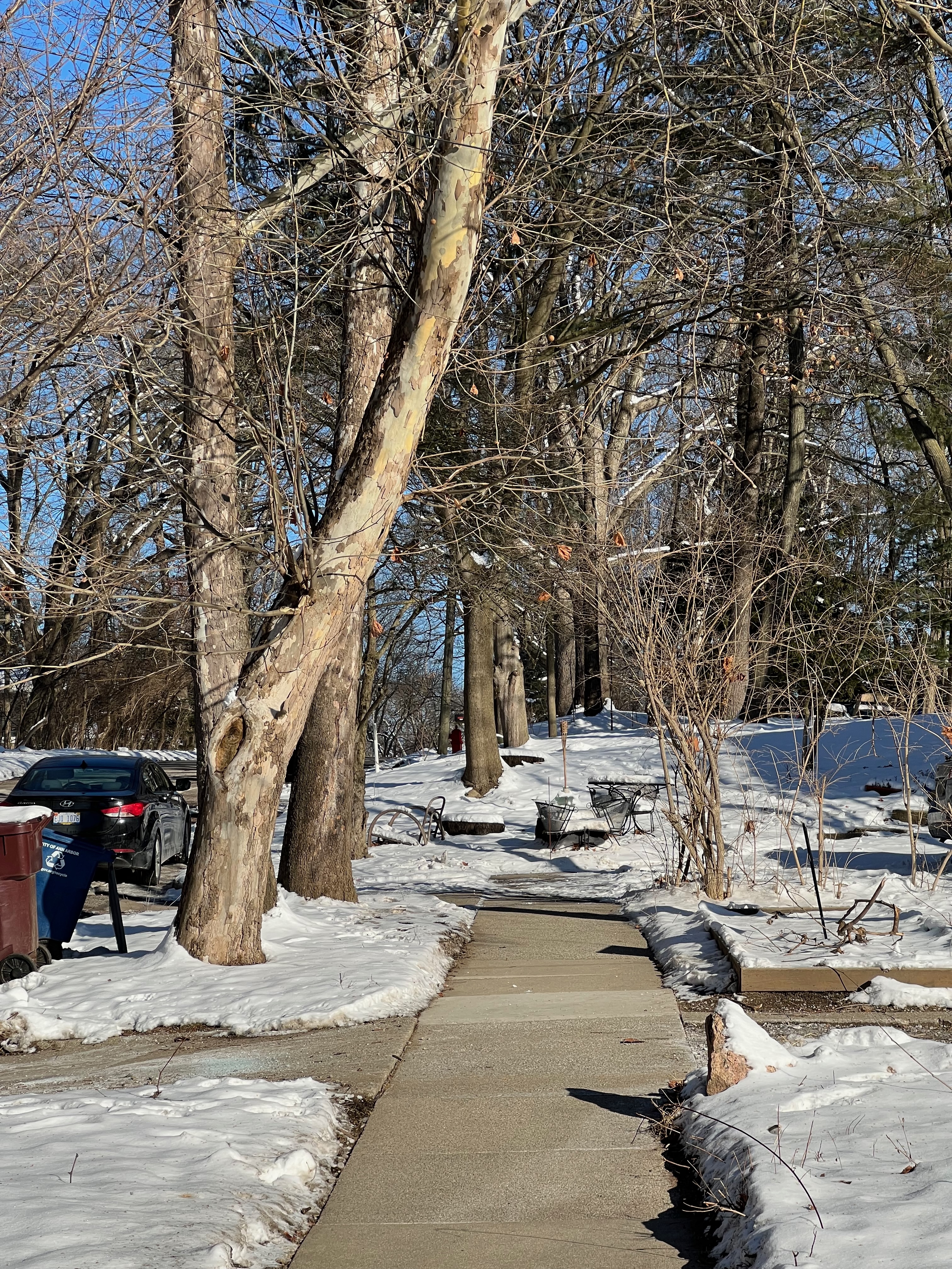 Sidewalk gaps on Brooks Street in Ann Arbor's Water Hill