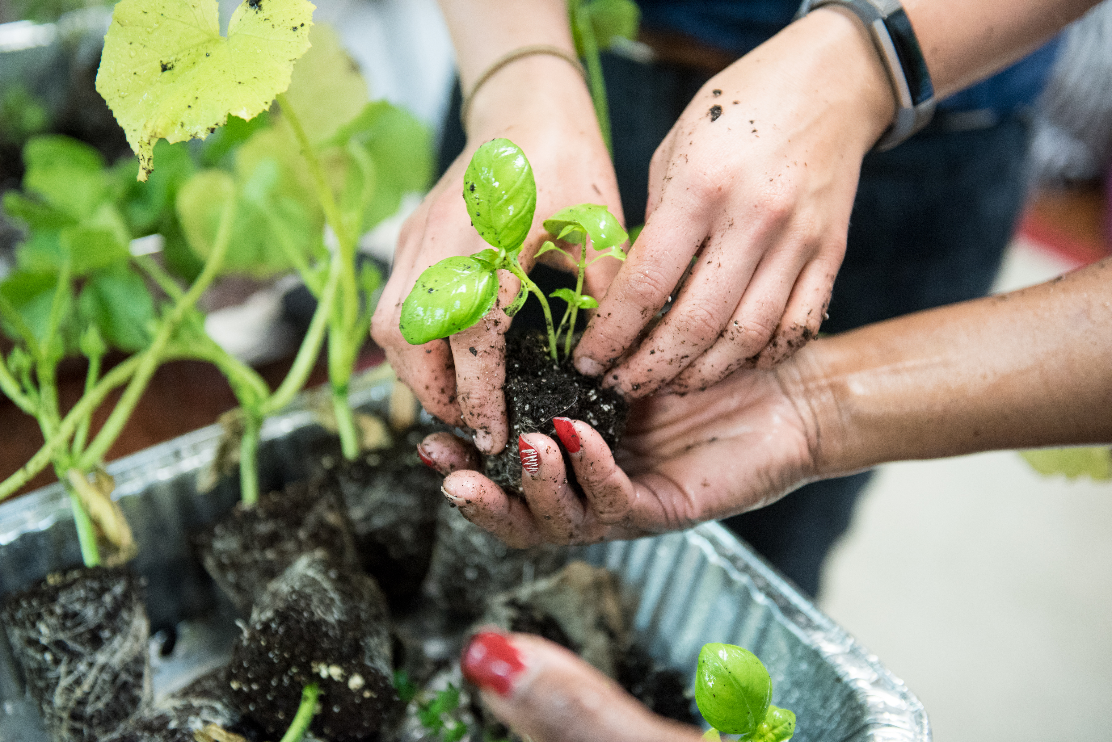 Plant-Inspired Products - KidsGardening