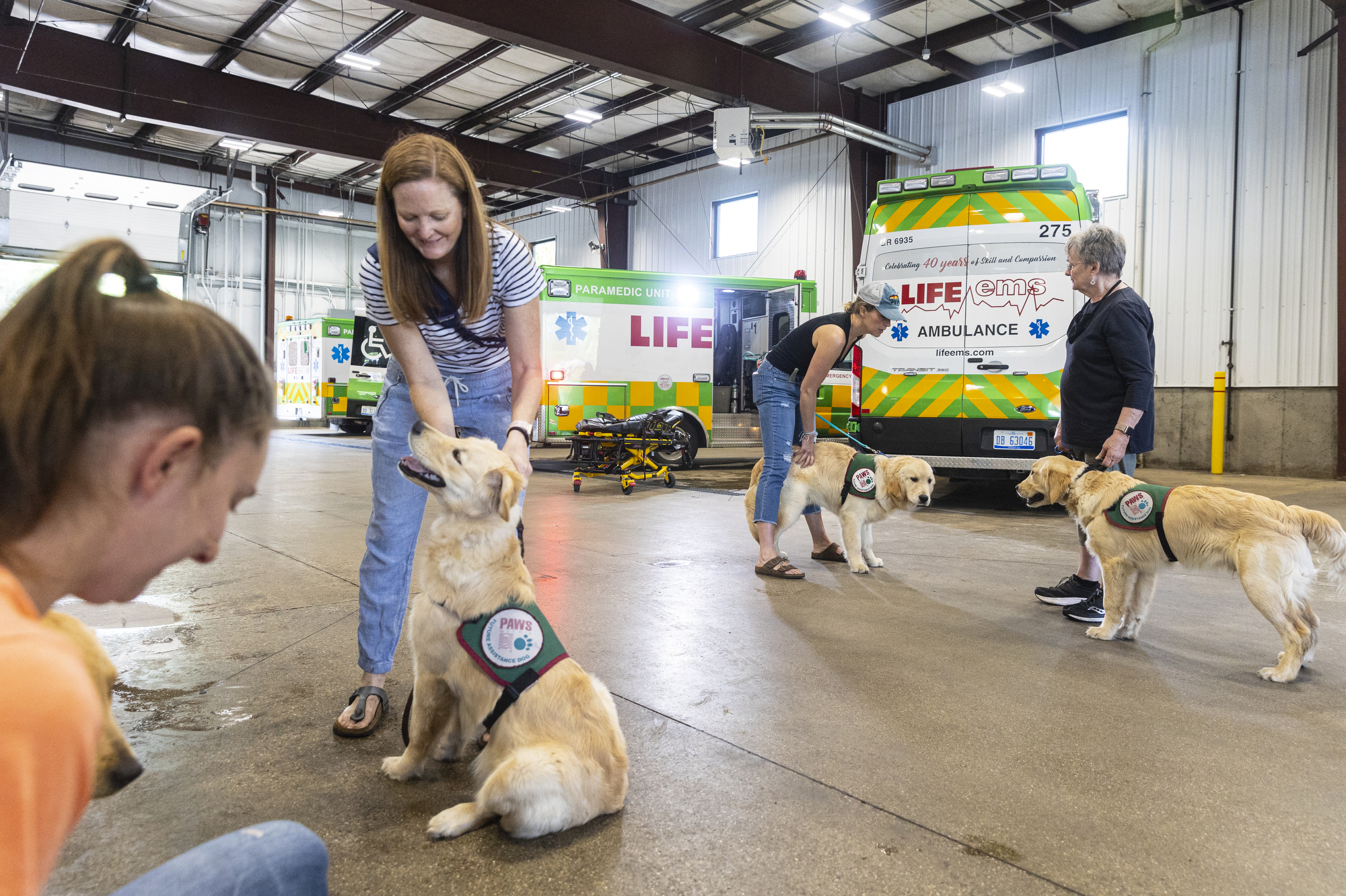 PAWS puppies get acclimated with ambulances - mlive.com
