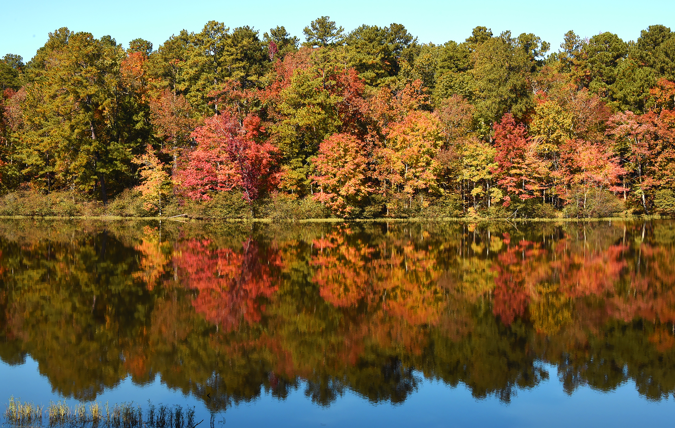 Fall Color on Display at Alabama's State Parks