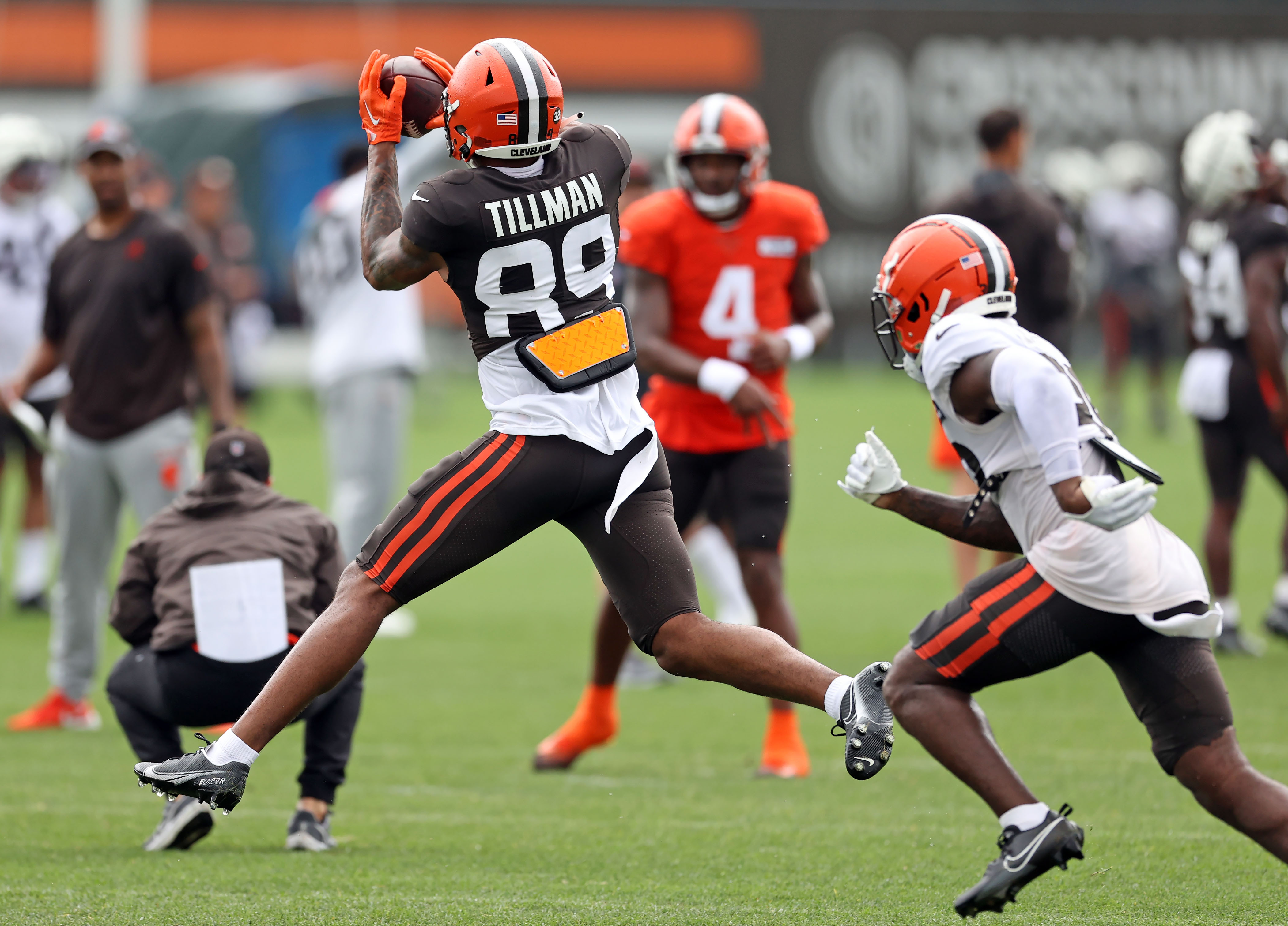 Cedric Tillman of the Cleveland Browns catches a pass during the News  Photo - Getty Images