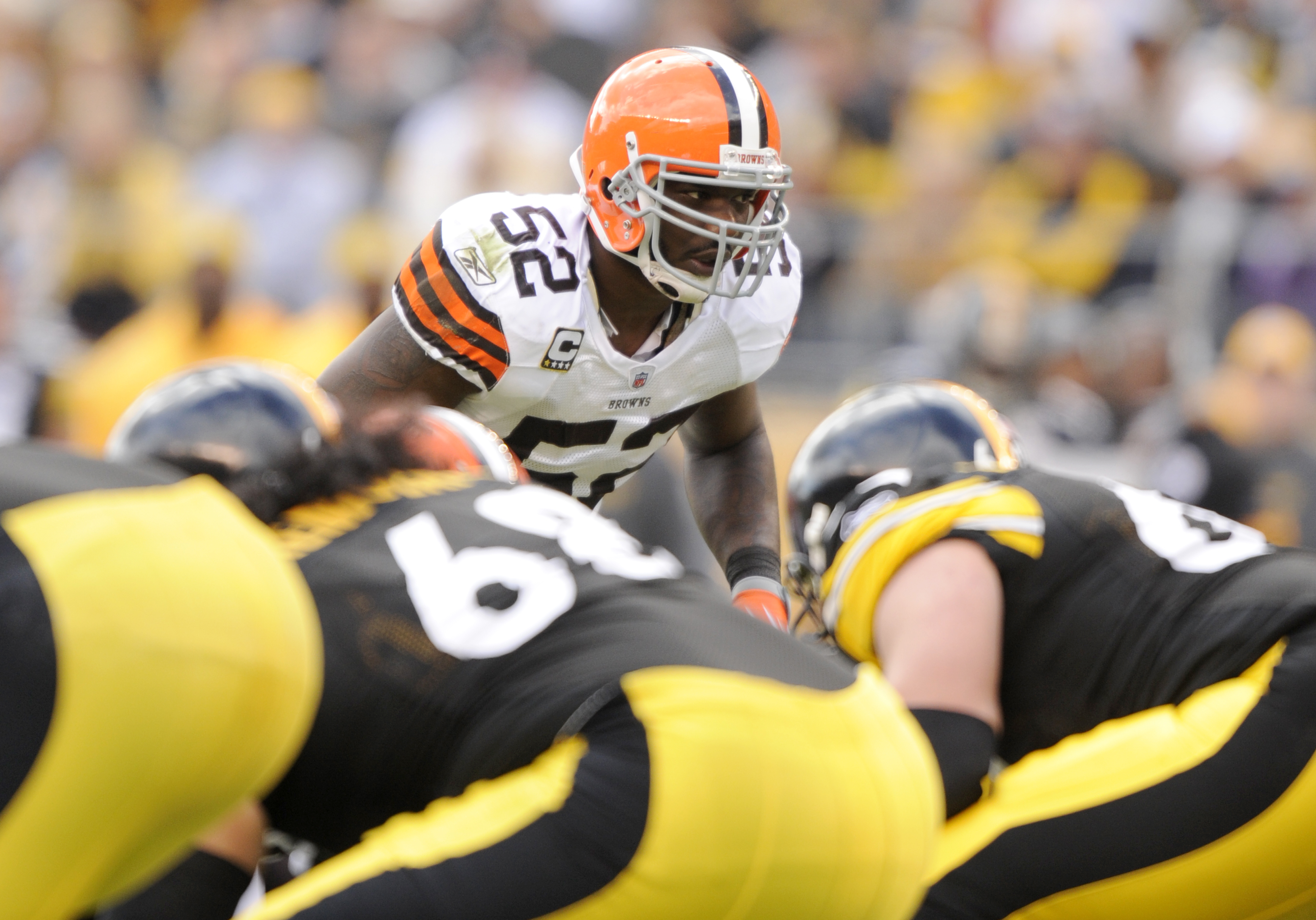 D'Qwell Jackson, Bill Nelsen named to 2021 class of Browns Legends