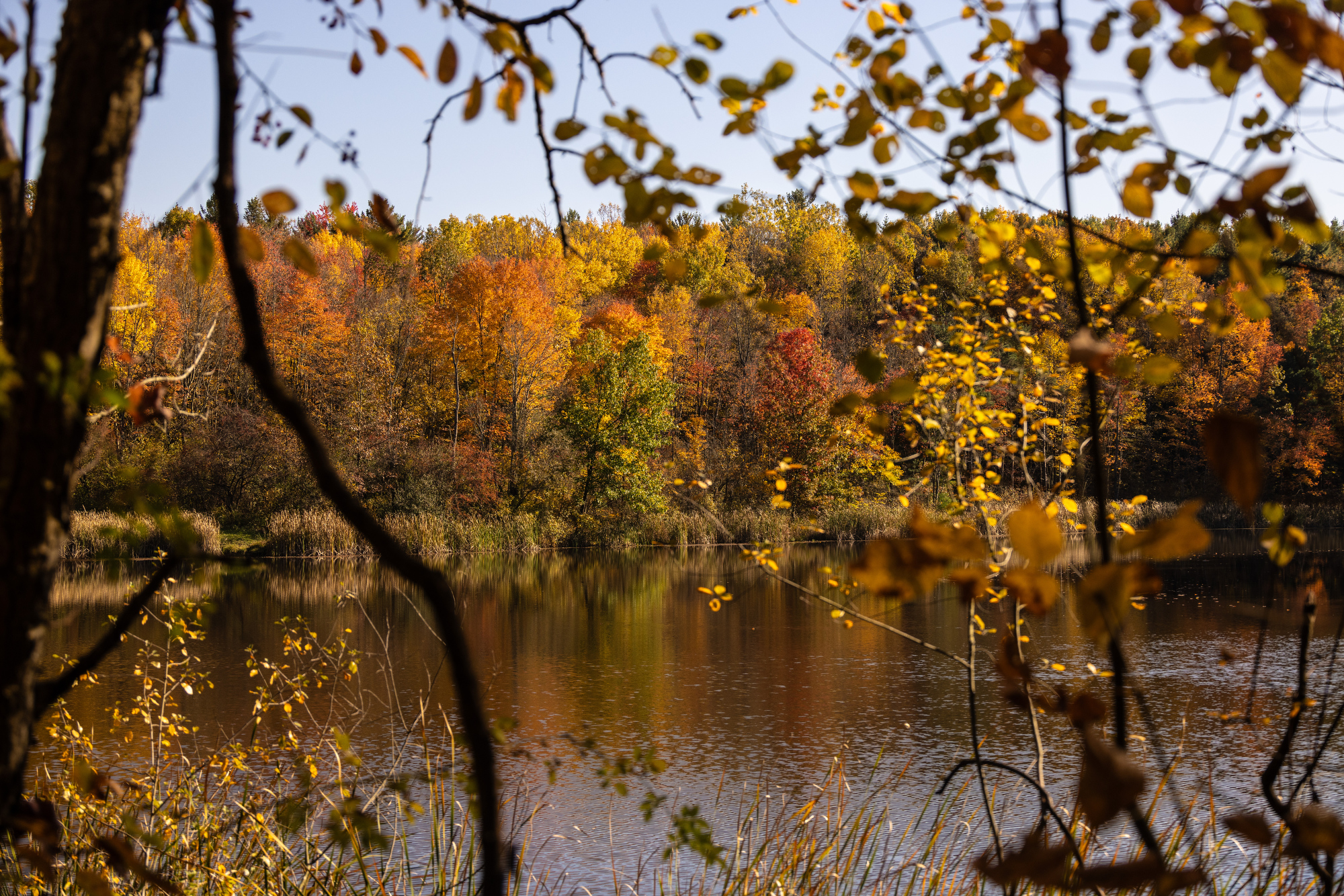 Fall colors in the Cuyahoga Valley National Park 2024 - cleveland.com