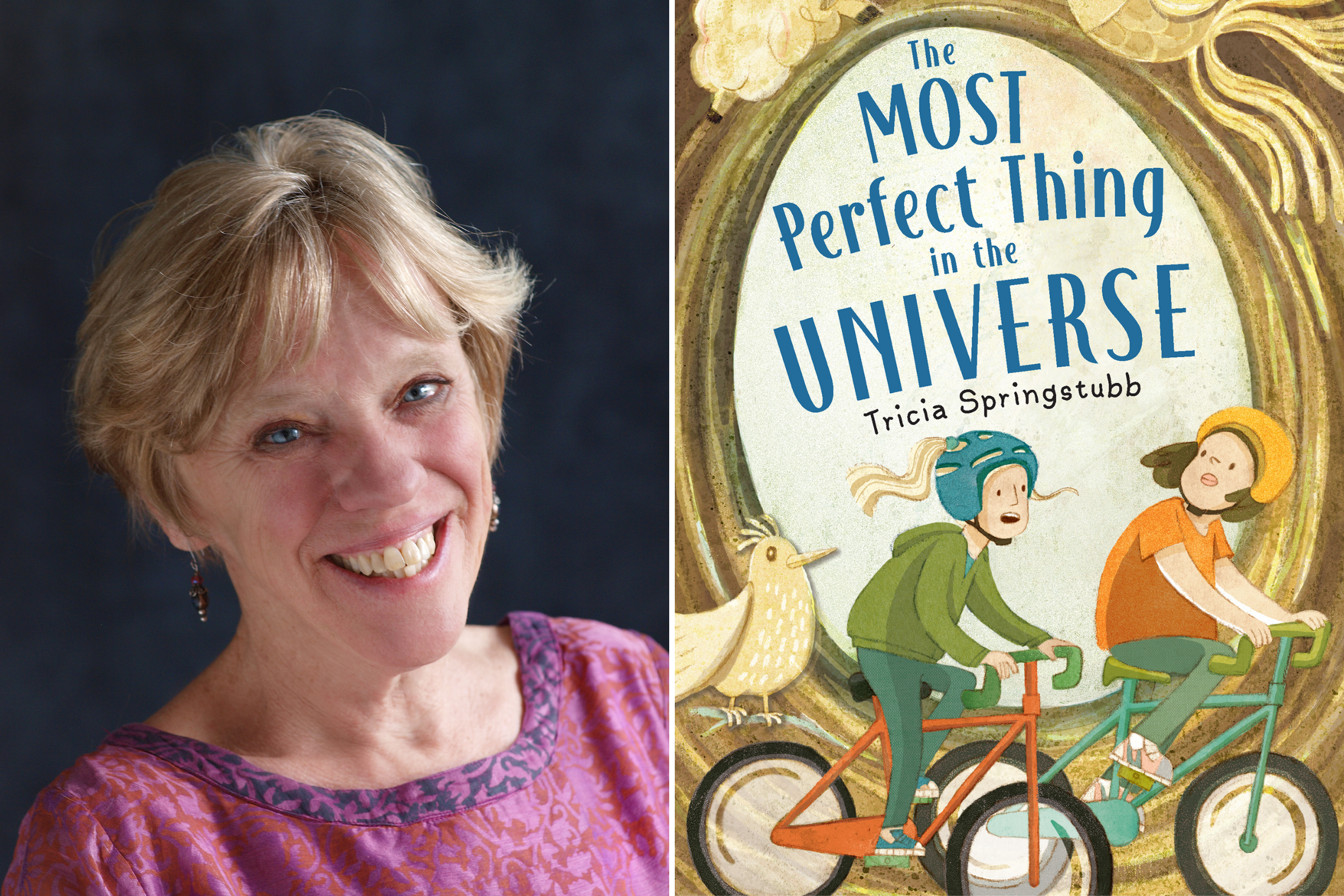 Tricia Springstubb debuts new book 'The Most Perfect Thing in the Universe'  - cleveland.com