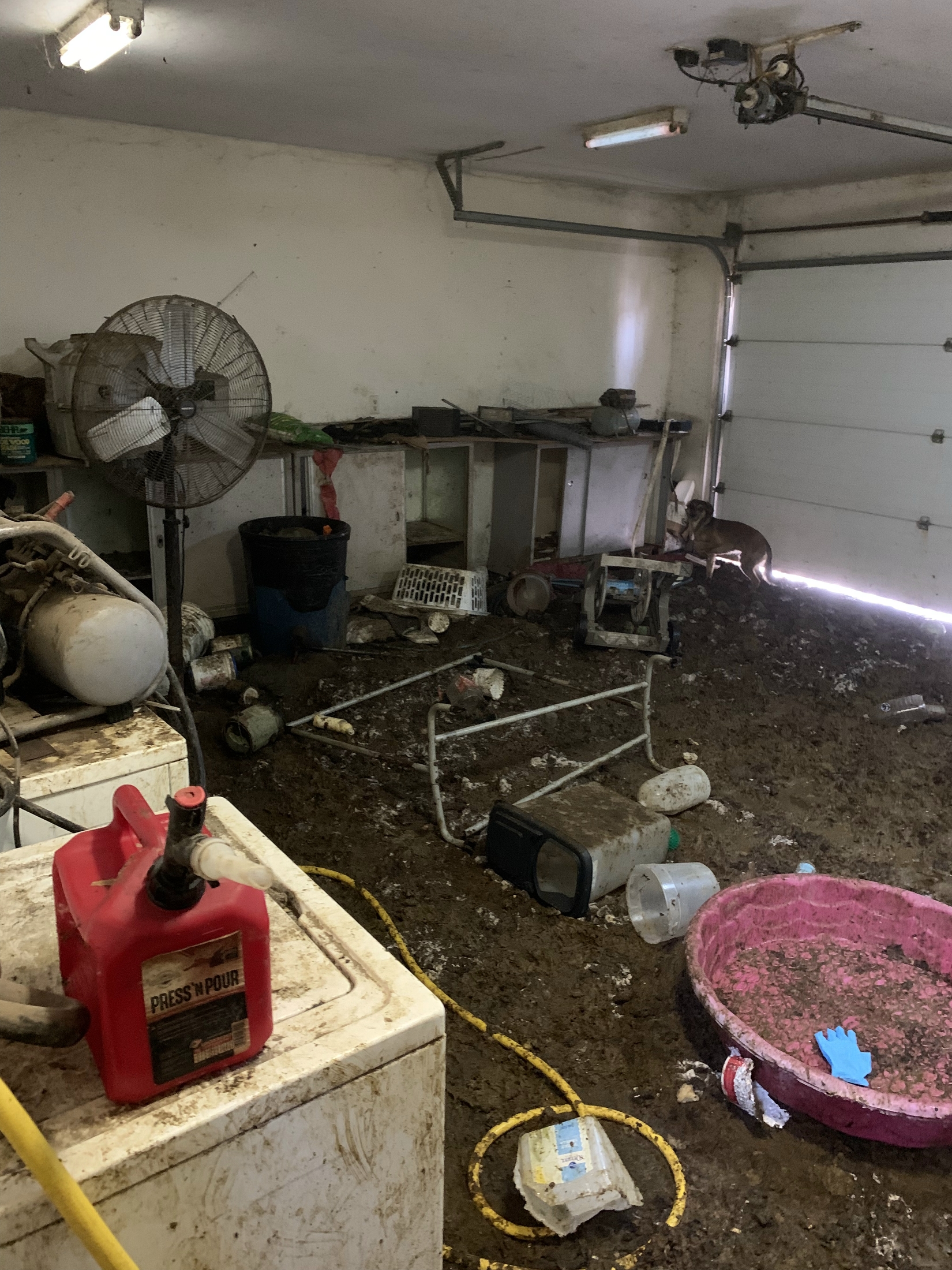 See why more than 90 living, dead animals were seized from Michigan ...