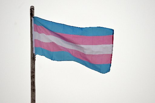 Why Trans Pride is Important this weekend!