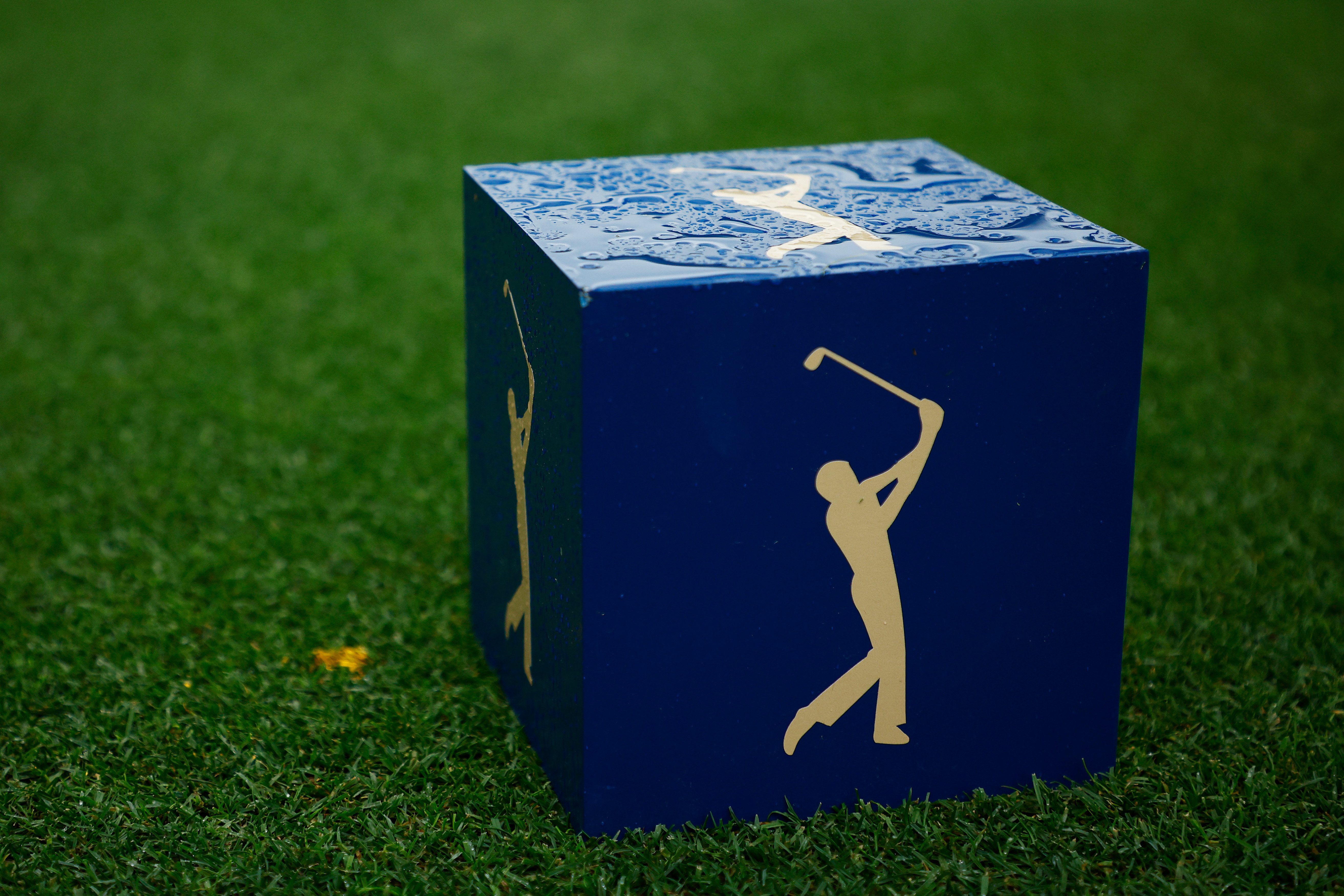 The Players Championship FREE LIVE STREAM (3/13/22) How to watch golf, time, channel