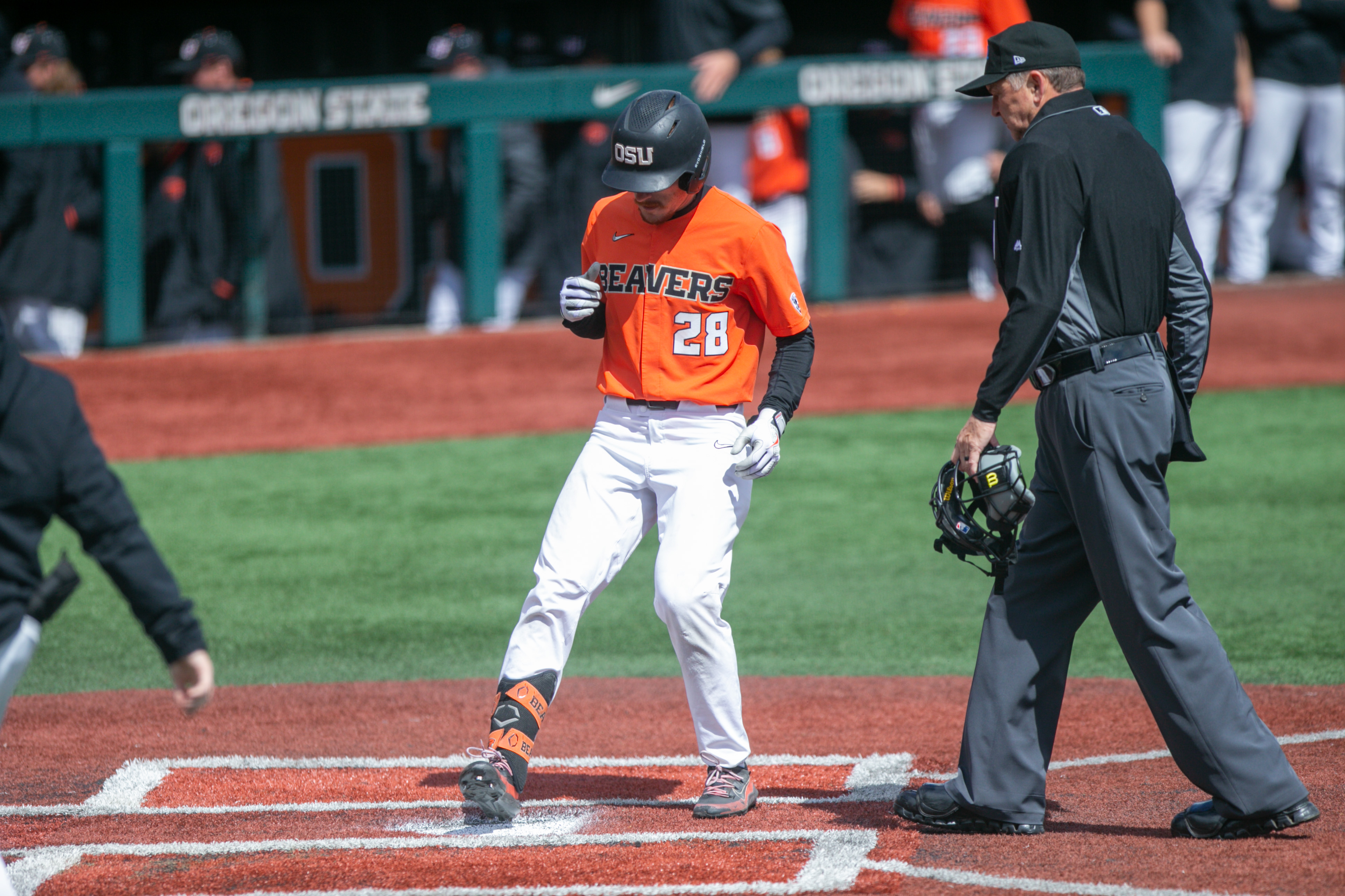 Oregon State ace Cooper Hjerpe explains how he overcame rain delay to  dominate Ducks