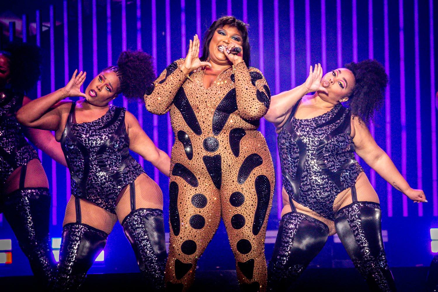 Best Seats for a Lizzo Concert - Your Guide