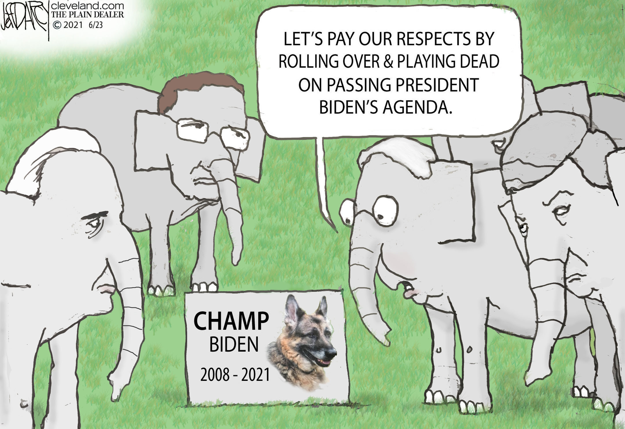 Champ dies, Biden agenda blocked: Darcy cartoon 
