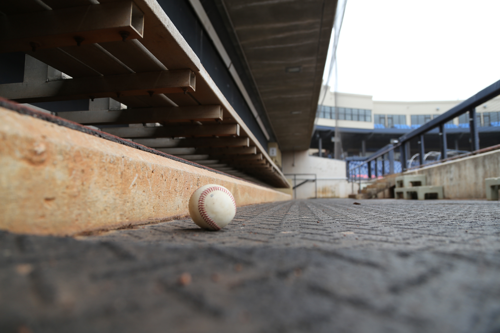 RubberDucks show off new seats, food for 2022 season