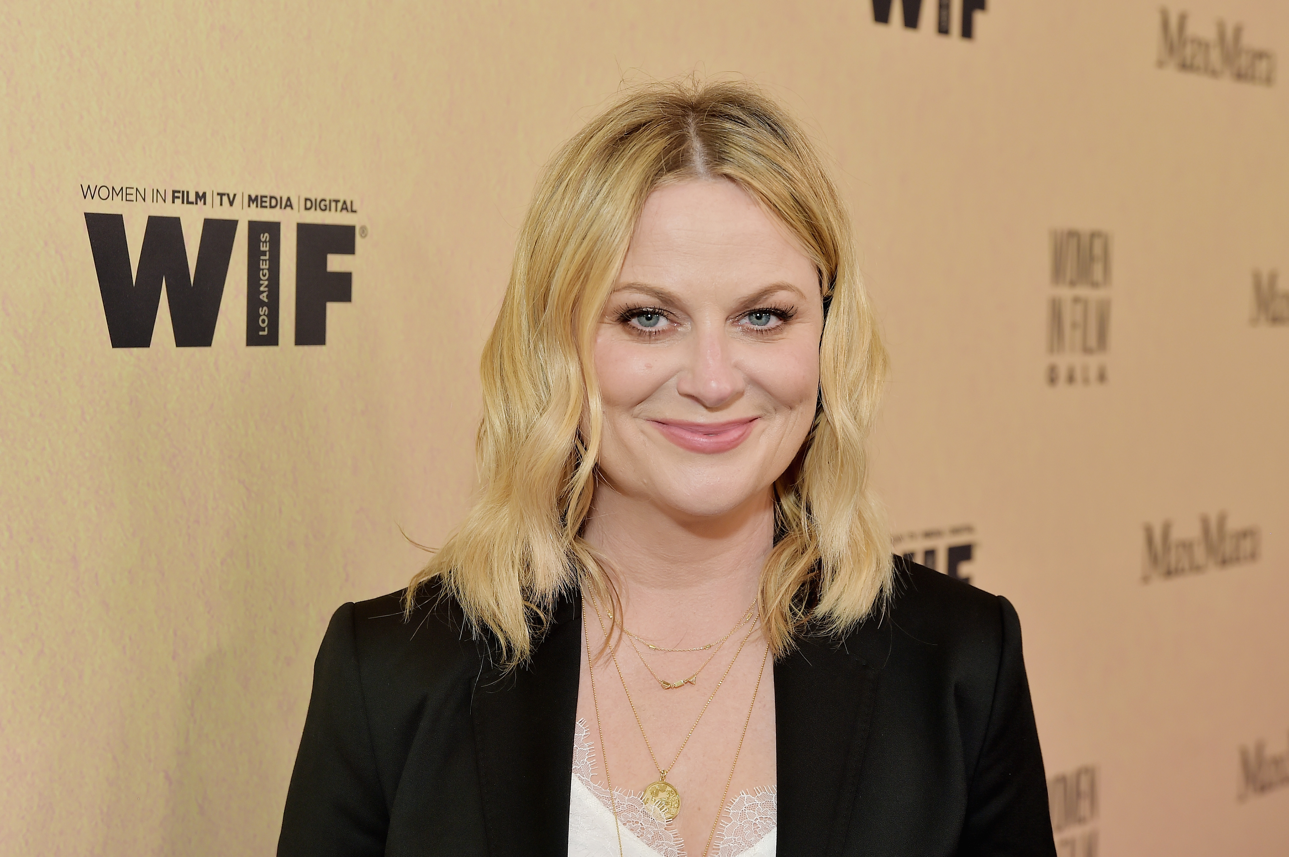 Amy Poehler Fake