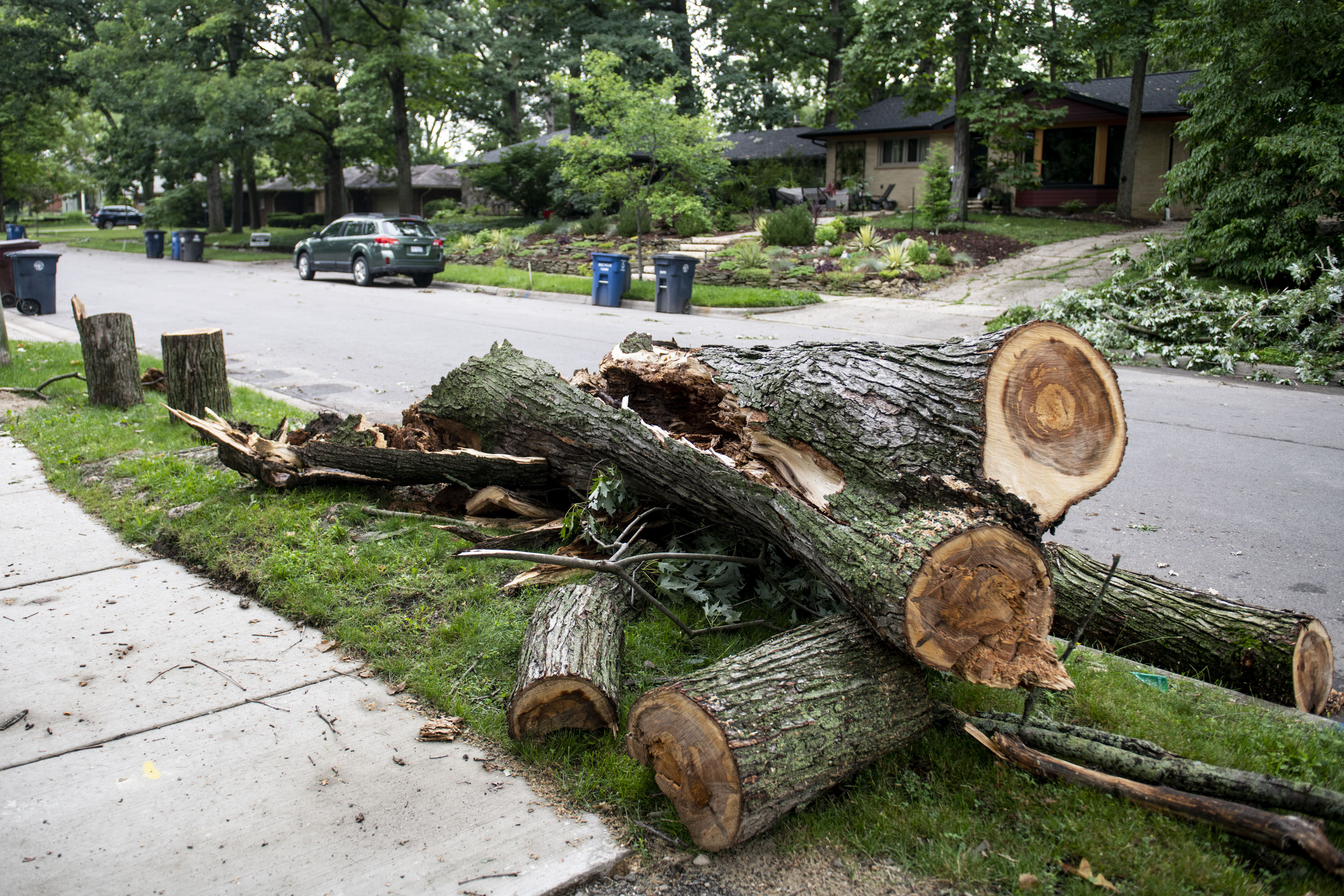 Aftermath of July storm includes power outages, downed signs and trees ...