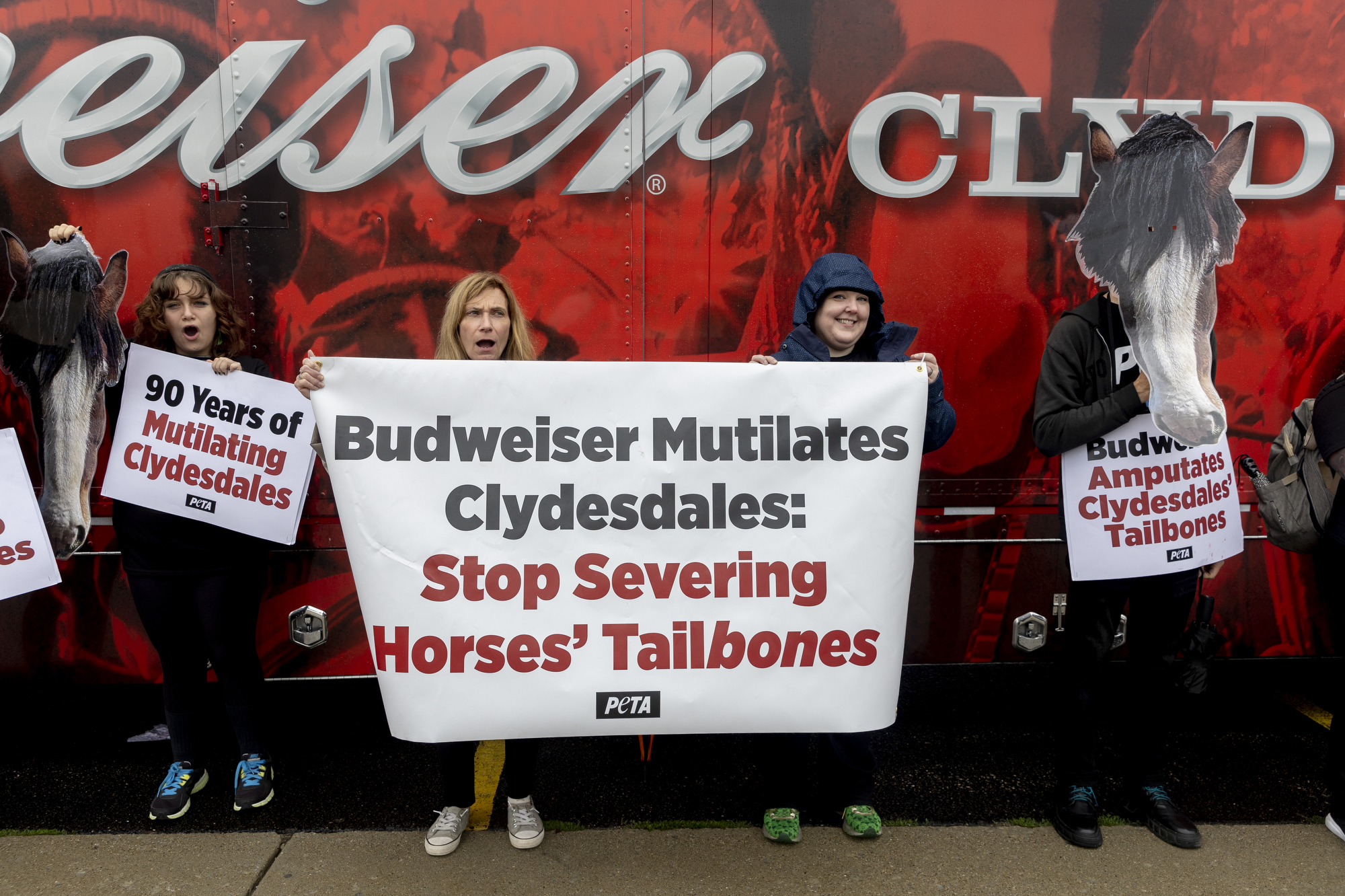 PETA protests Budweiser in Michigan for animal abuse, mutilation of ...