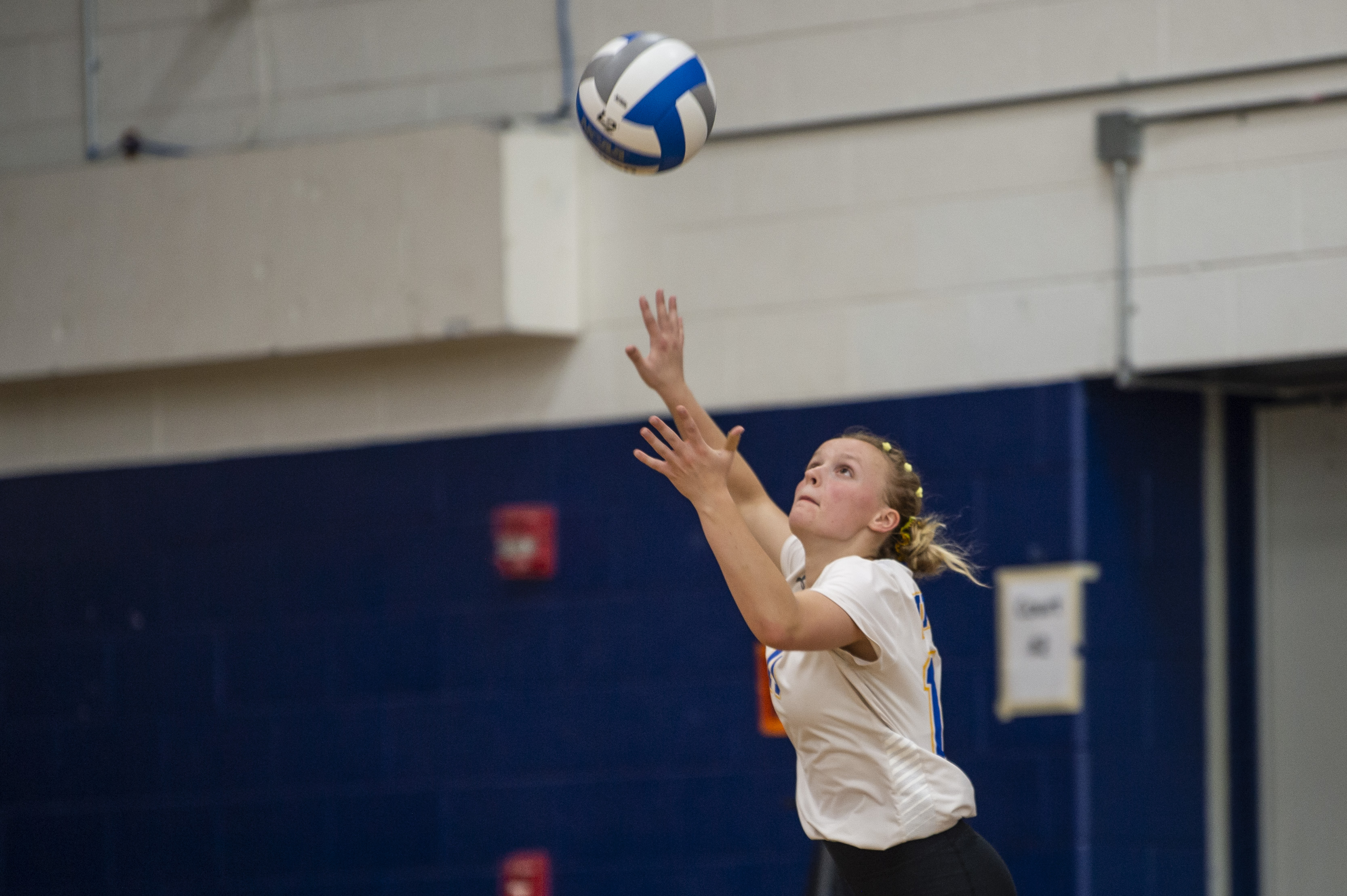 Birch Run hosts volleyball quad