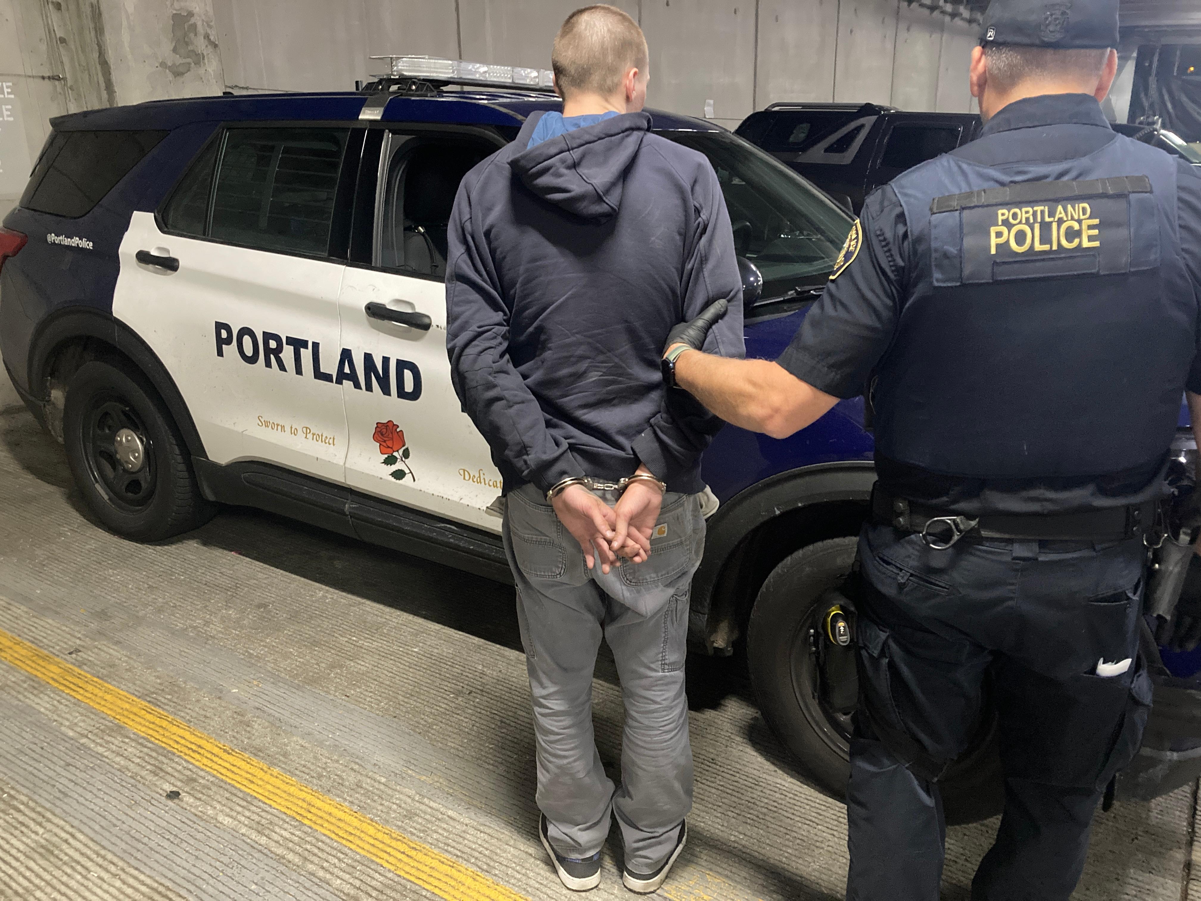 Portland police break Tesla car theft ring herald decline in