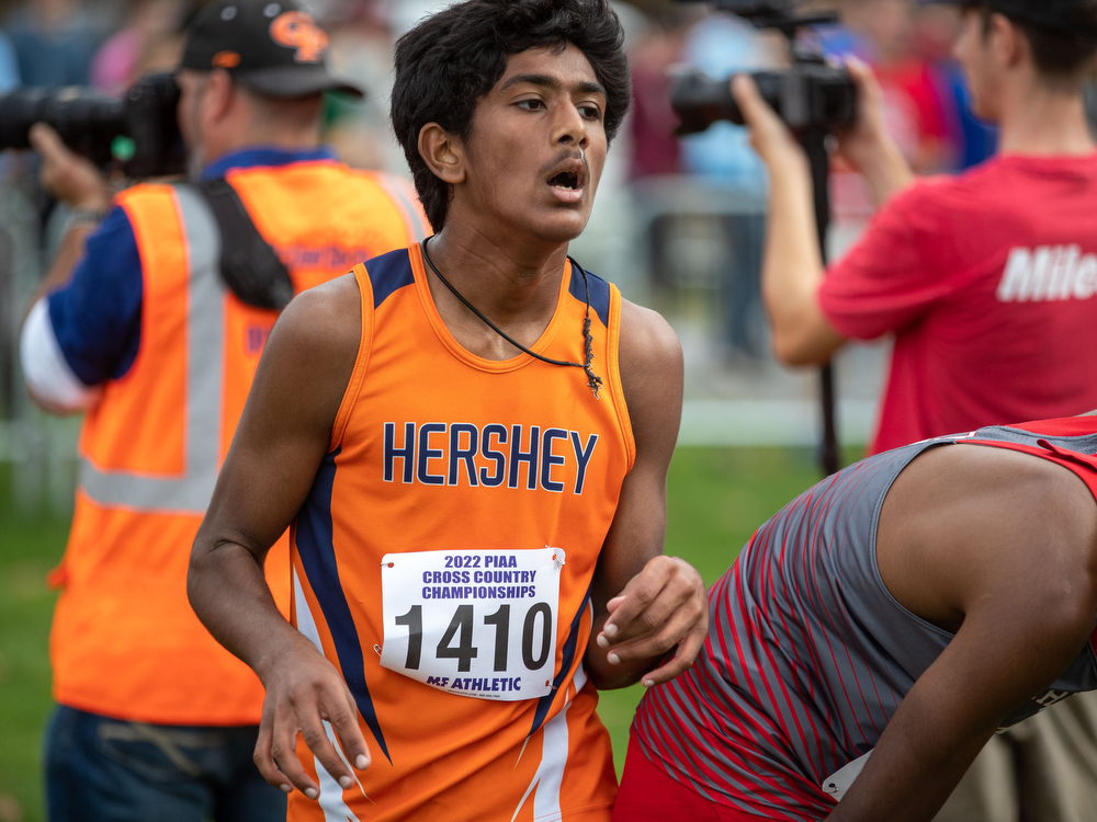 The 2022 PIAA Boys Cross Country Championships at Hershey - pennlive.com