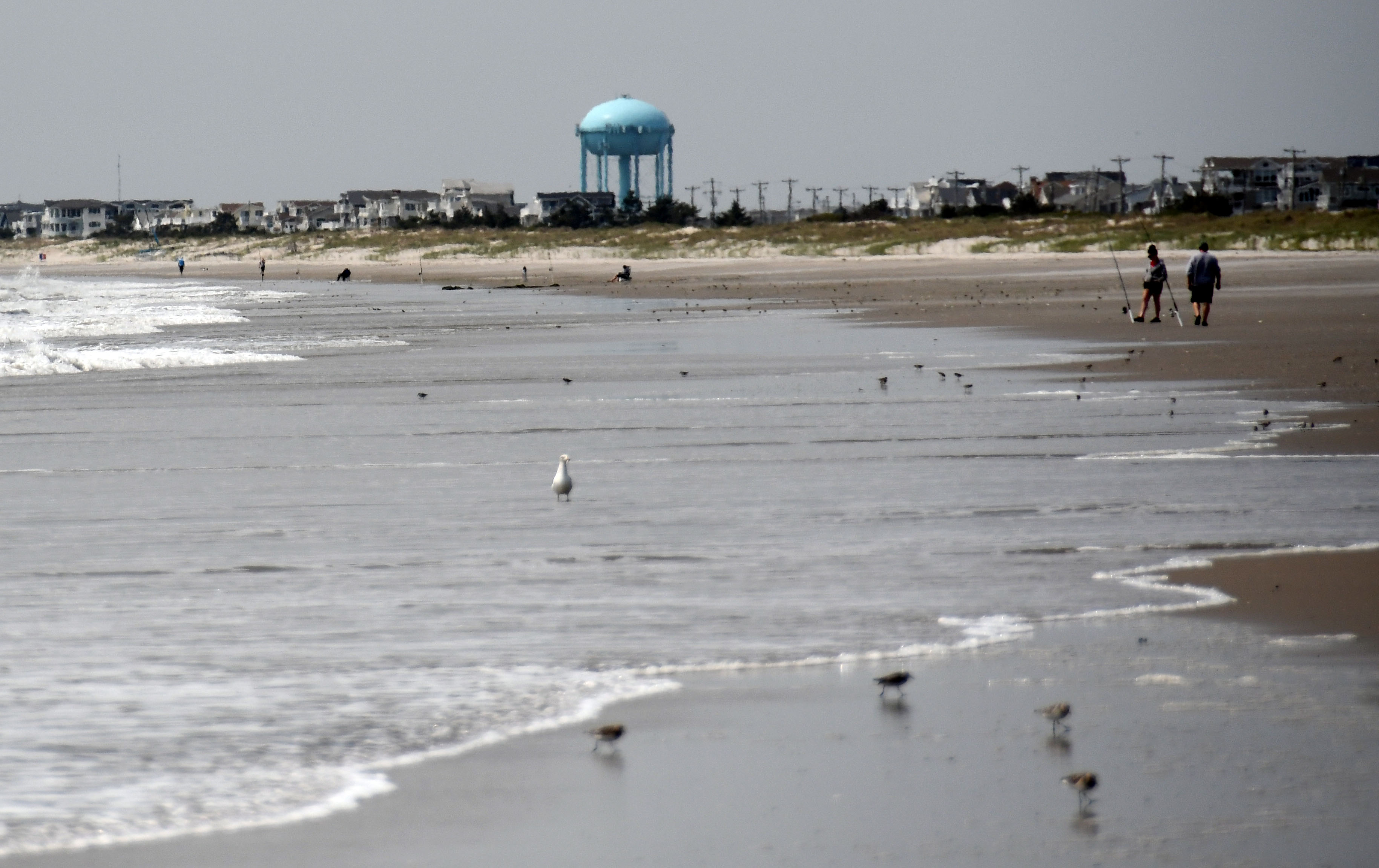 Exploring Whale Beach, New Jersey: A Hidden Gem for Travelers