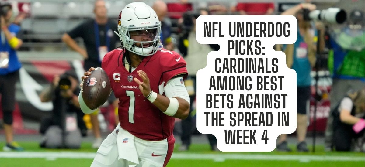 NFL Week 4: Cardinals picked to earn road win in Carolina, The Daily  Courier