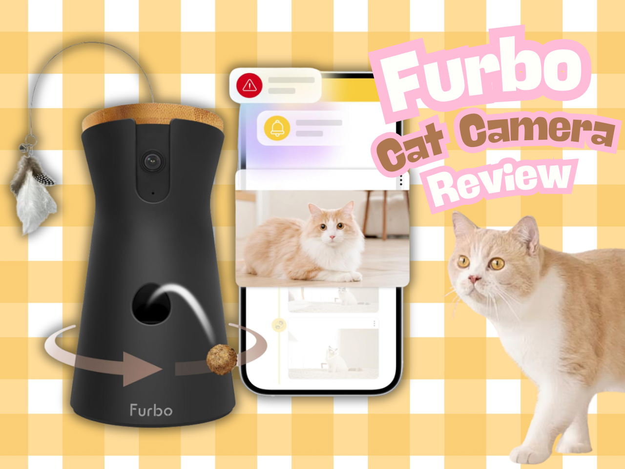 Furbo Cat ファーボ　キャットカメラ Amazon.com: Furbo 360° Cat Camera: Pet Security Cam w