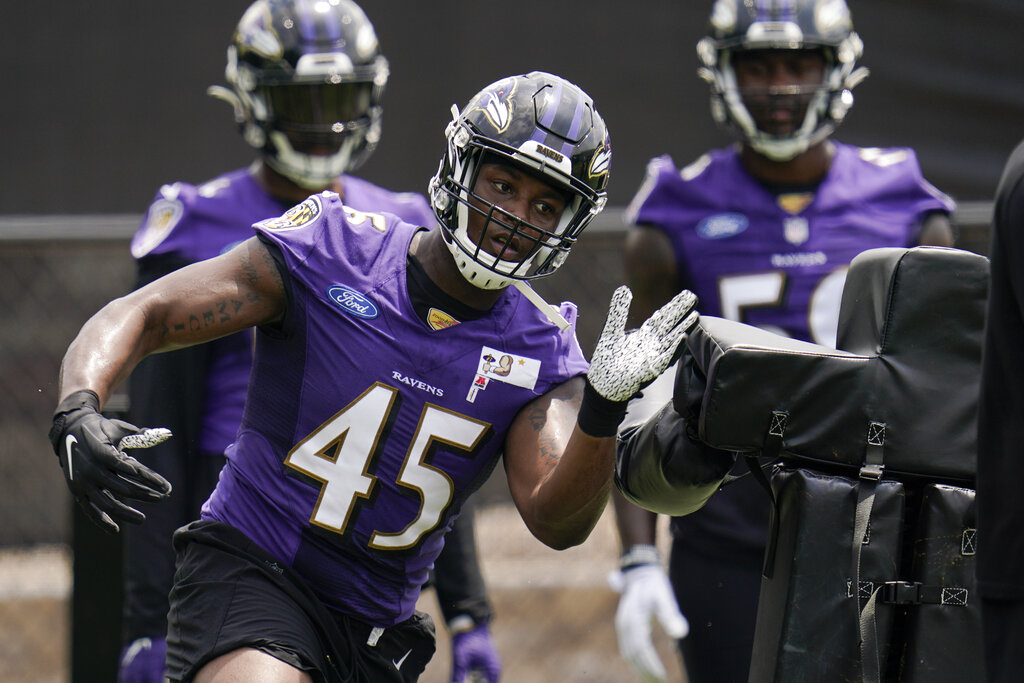 Baltimore Ravens Linebacker Jaylon Ferguson Dead at 26 - E! Online