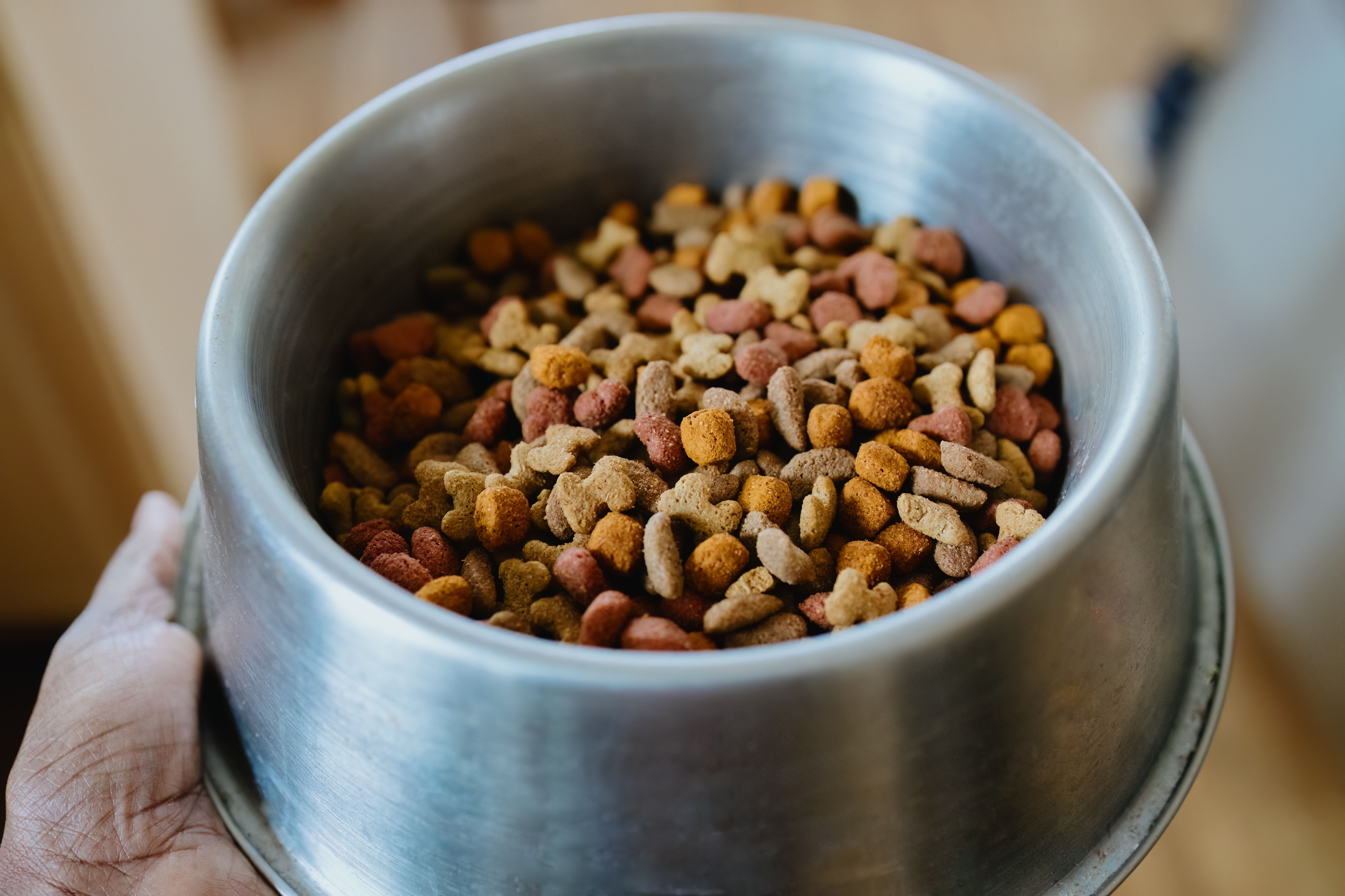 Whole Hearted Dog Food Recall: Urgent Safety Alert for Pet Owners