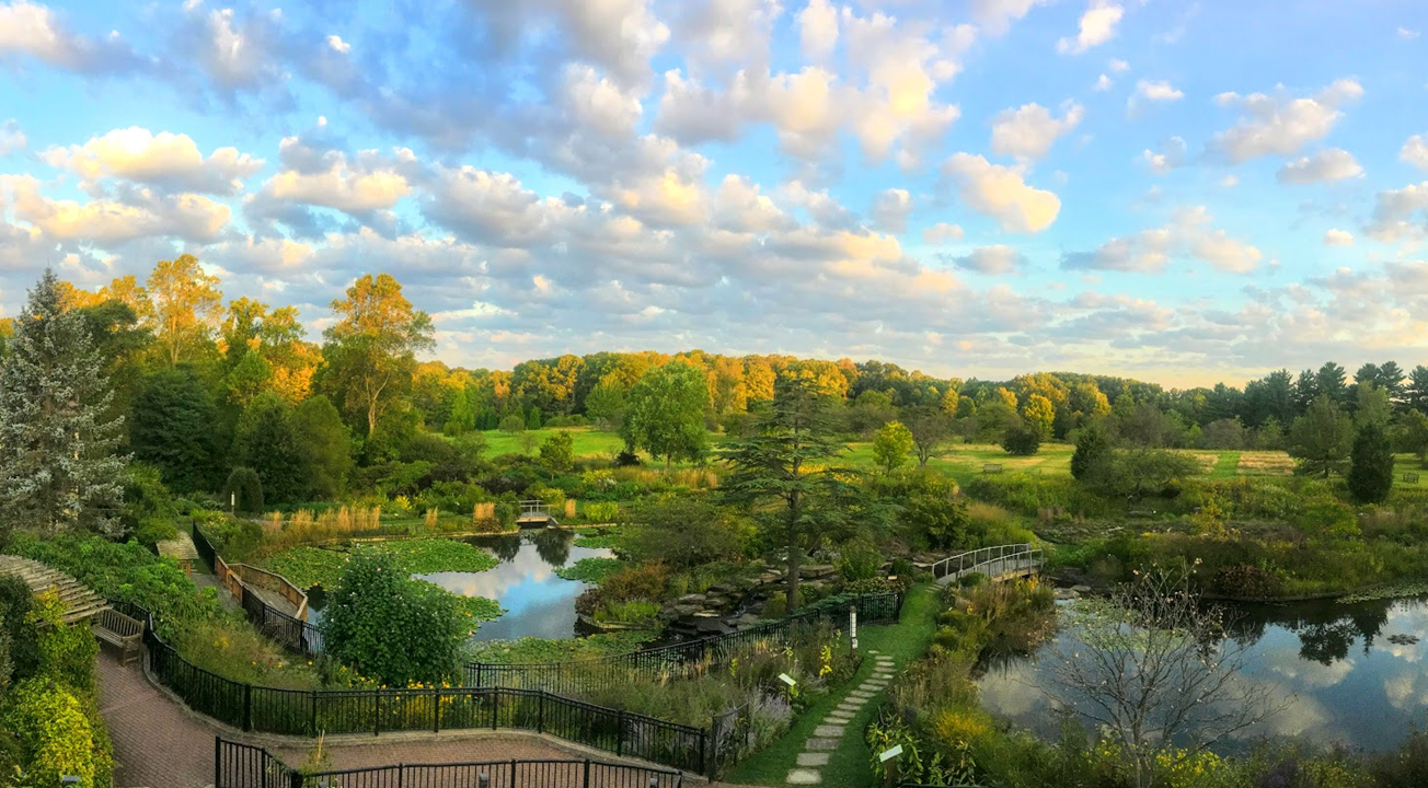 Holden Arboretum plans outdoor LEGO sculpture show - cleveland